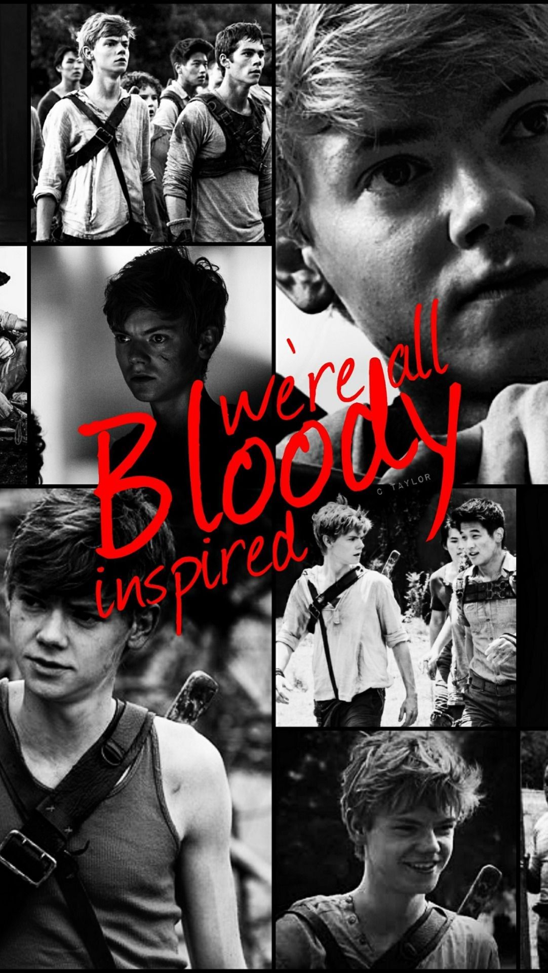 Newt Maze Runner Wallpaper