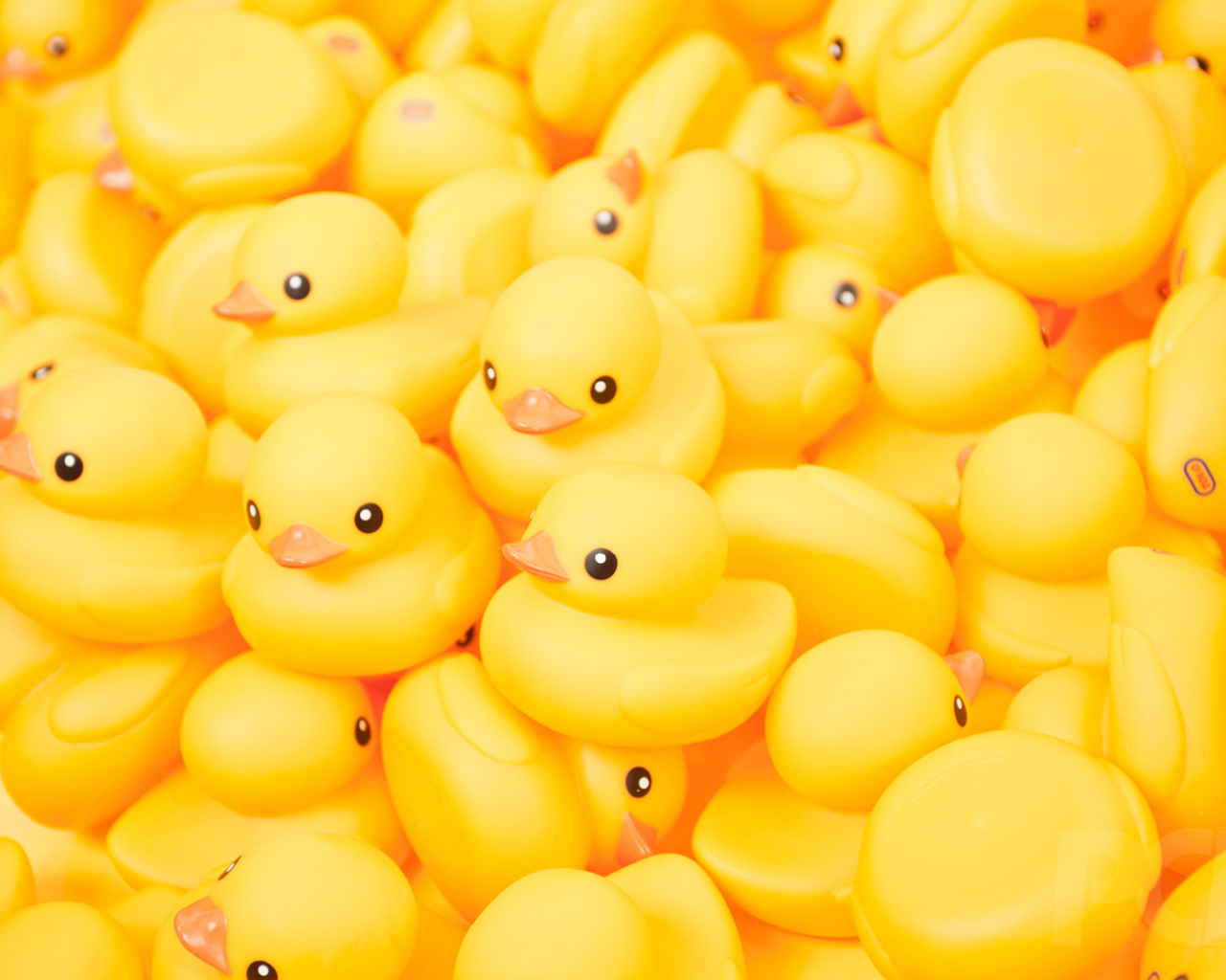 Free download Rubber Duck Wallpapers Amazing Wallpapers 1680x1050 for your ...