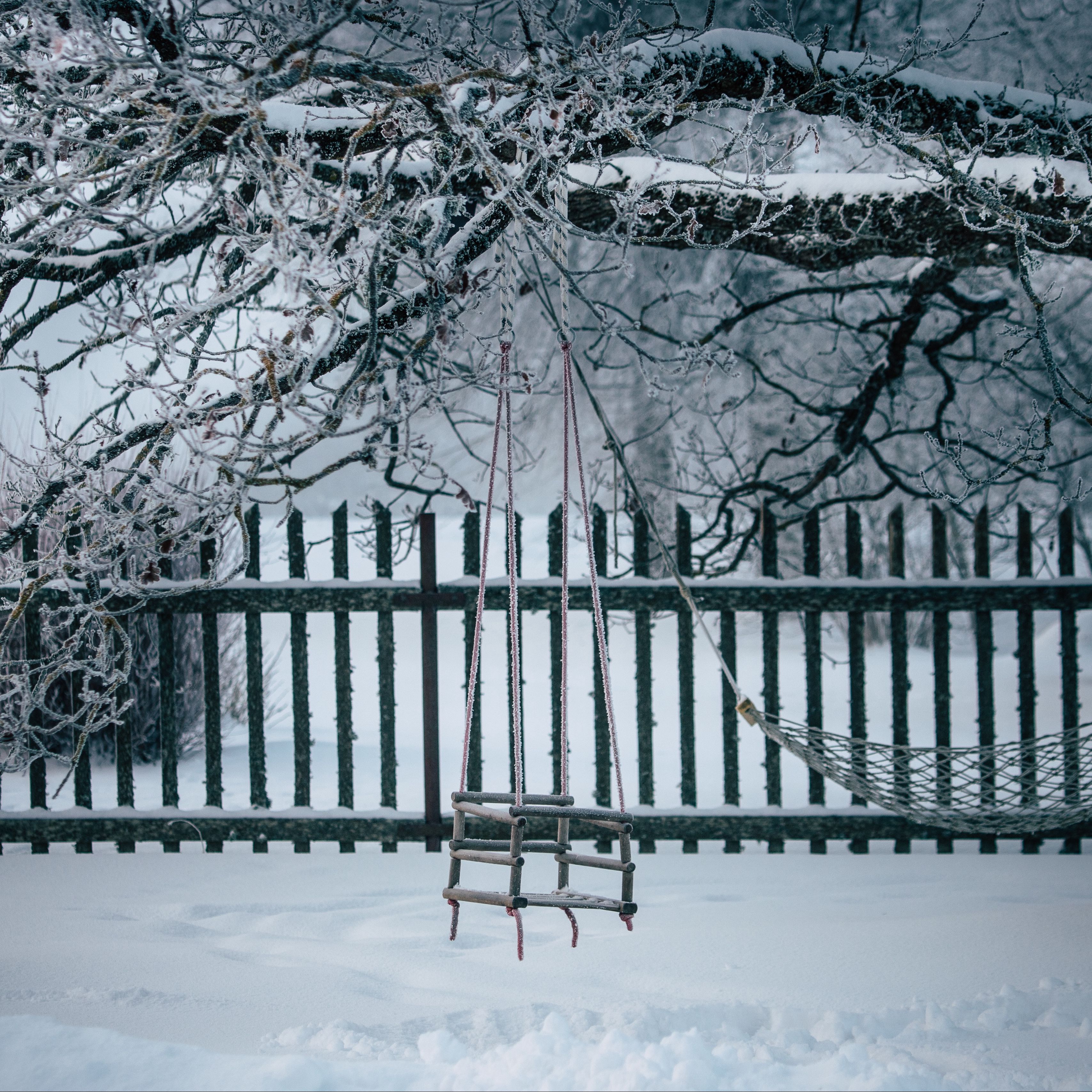 Download wallpaper 3415x3415 winter, swing, snow, tree, branches ipad pro 12.9 retina for parallax HD background