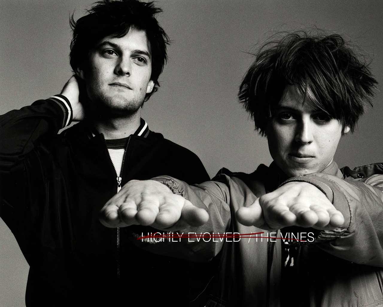 The Vines Wallpapers Wallpaper Cave