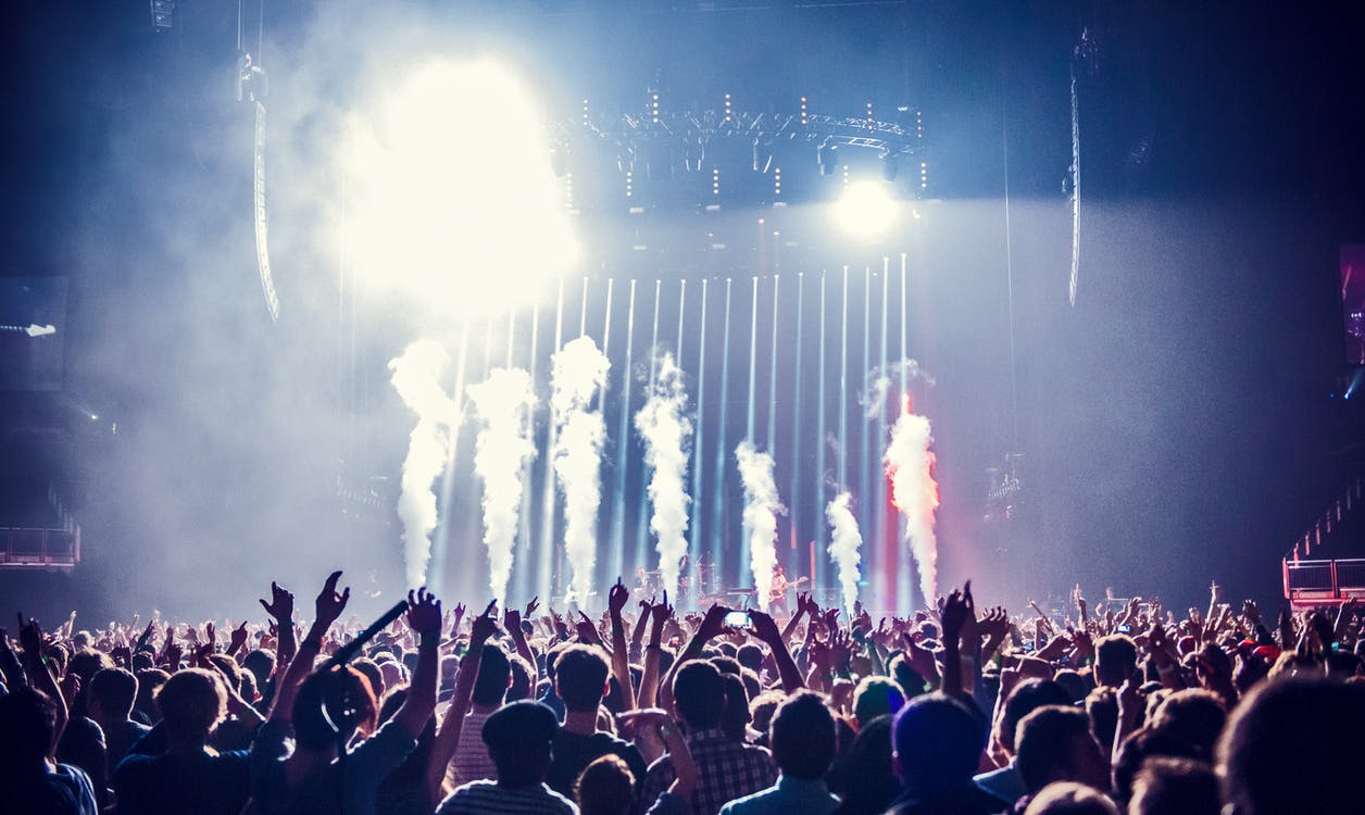 Group of People Watching Concert · Free