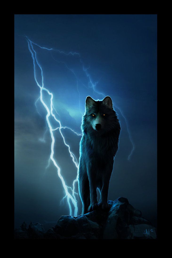 Elemental. Wolf dog, Wolf picture, Wolf spirit animal