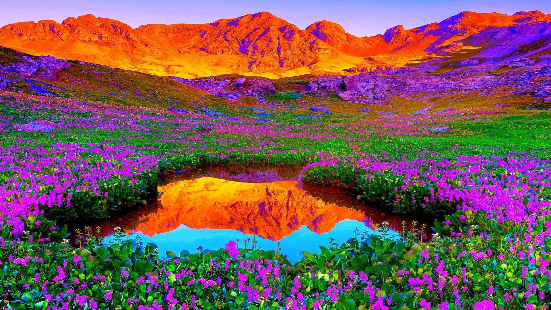 colorful nature wallpaper