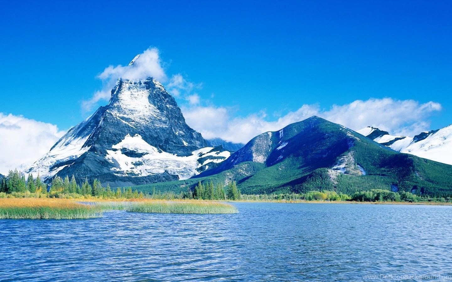 Lungs Nature Wallpaper: High Definition Wallpaper Laptop Desktop Background