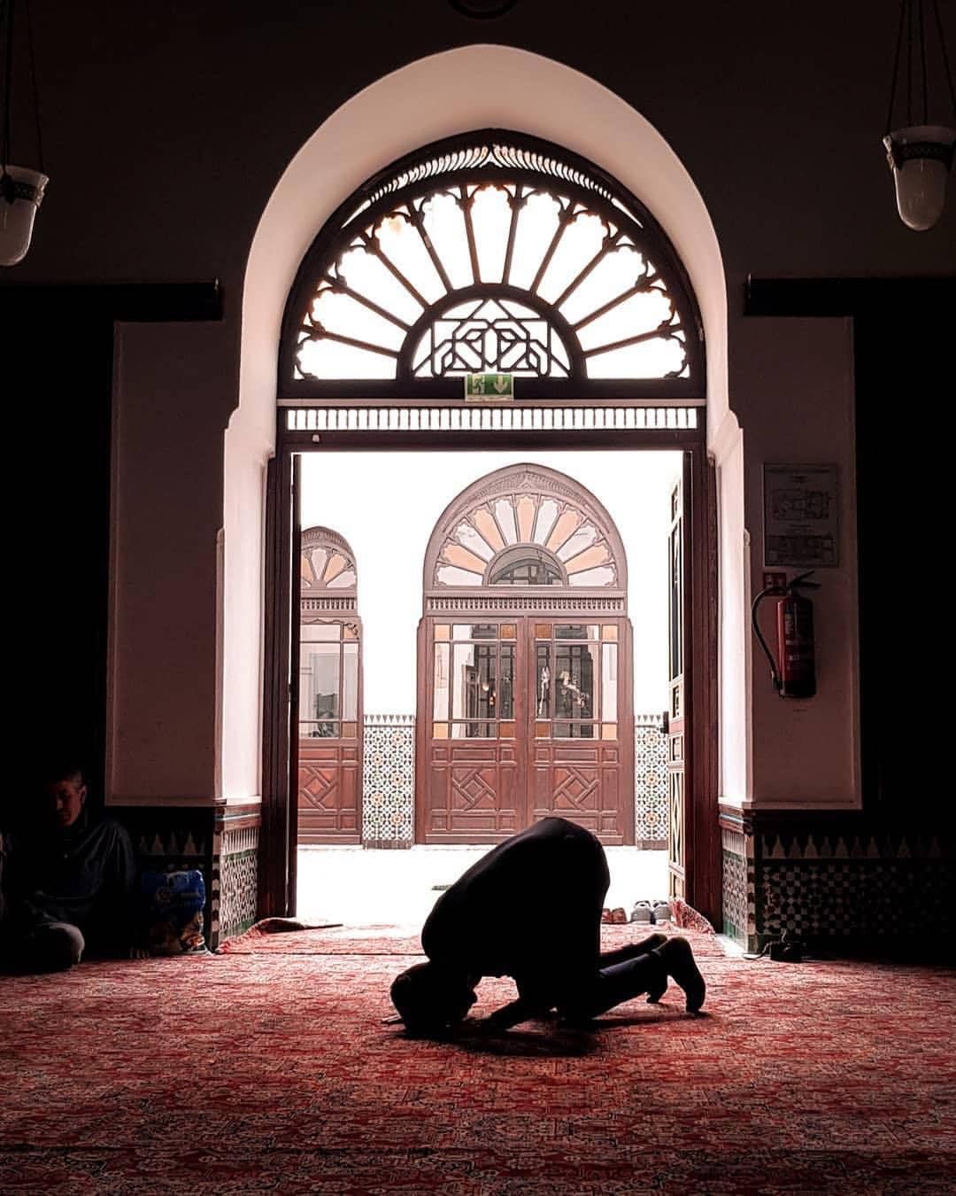 The Pinnacle of Prayer is Found in Prostration • Nur Muhammad Realities  Biography Islam Allah Haqiqat al Muhammadia
