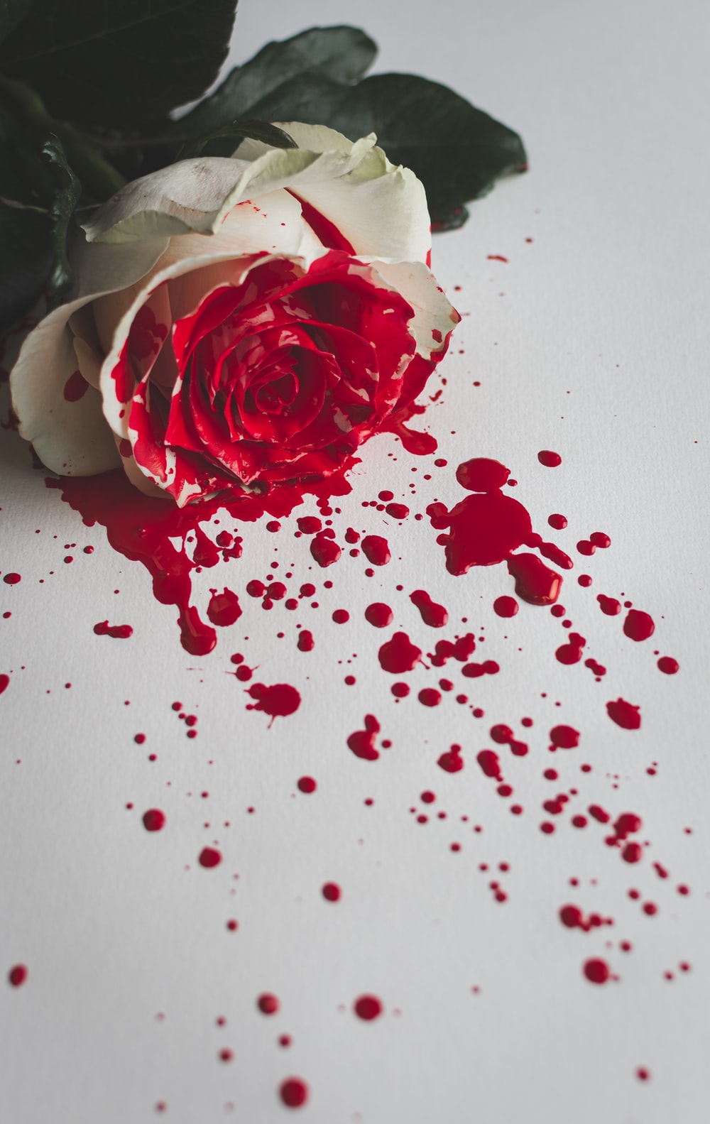 Blood Spattered Flower Wallpapers - Wallpaper Cave