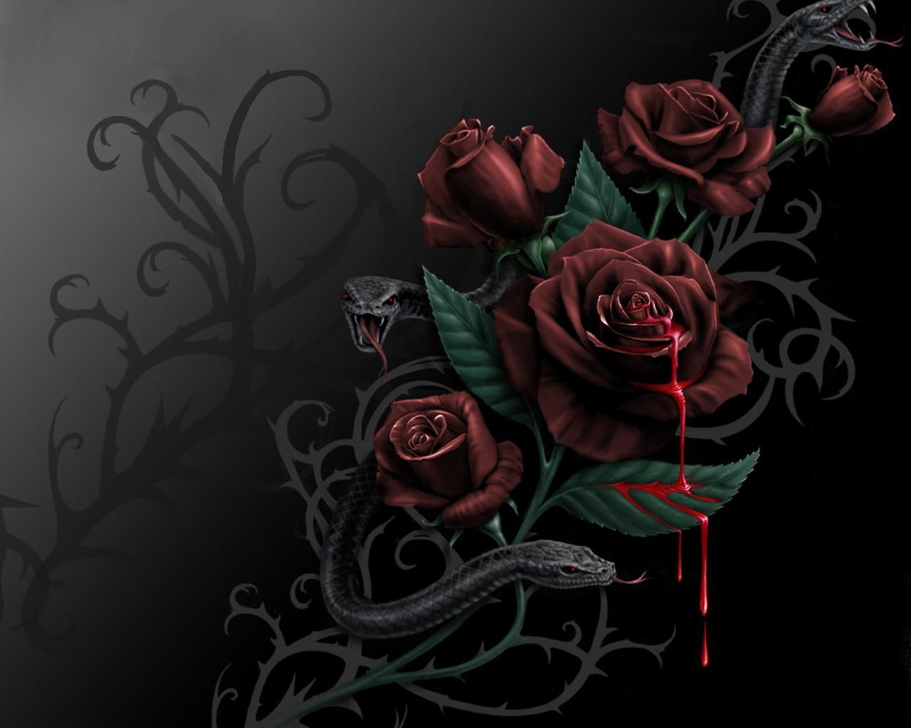 bleeding black rose wallpaper