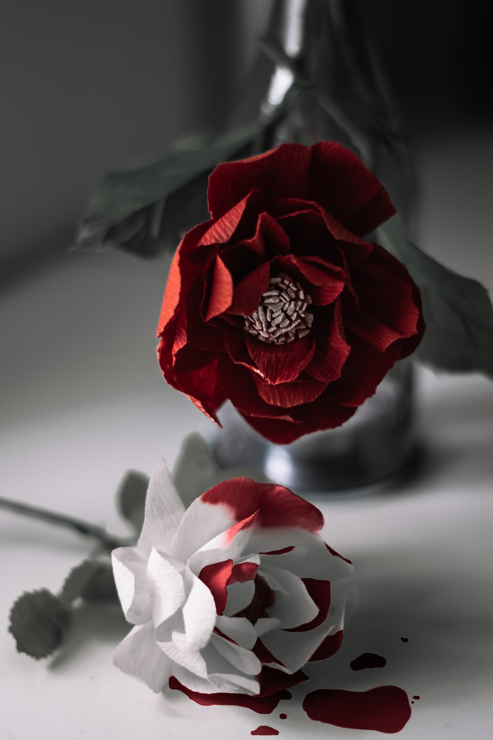 bloody black rose wallpaper