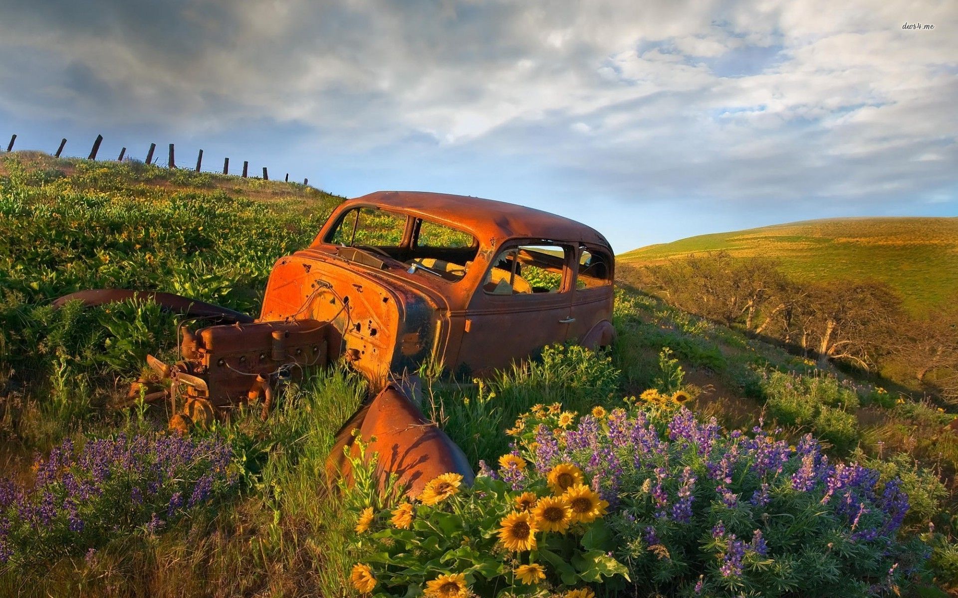 Landscapes Cars Rust Rusted Desktop X HD Wallpaper. Abandoned cars, Car wallpaper, Old cars