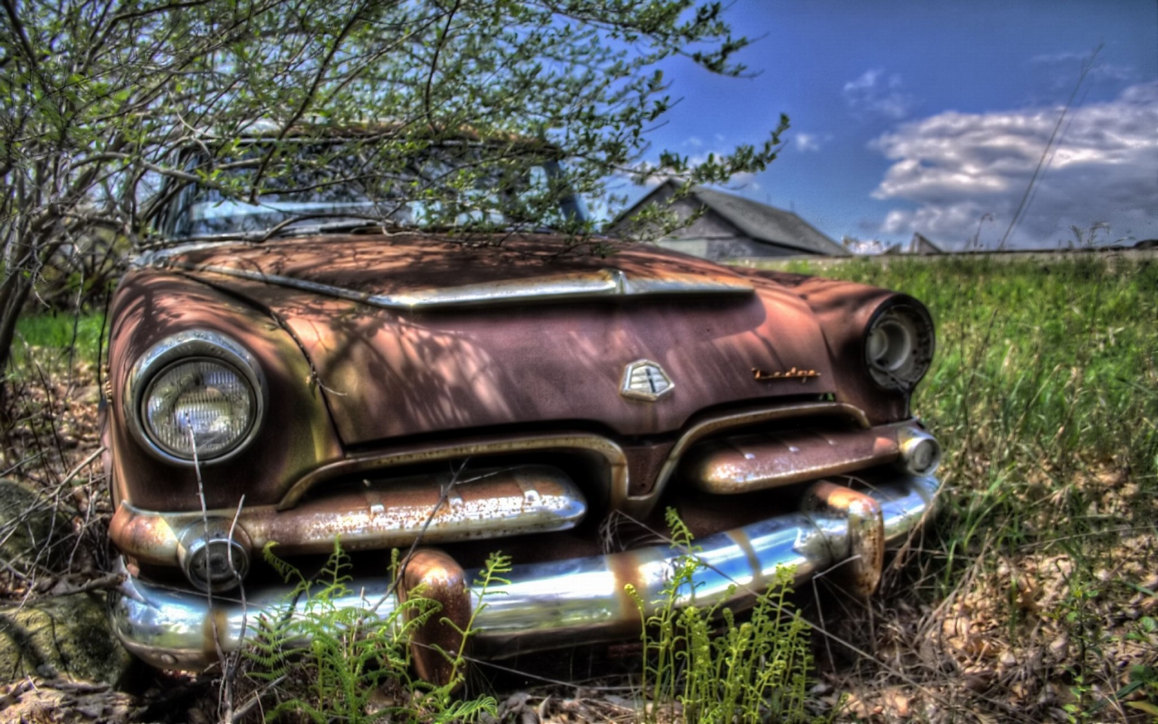 Abandoned Old Cars Wallpaper