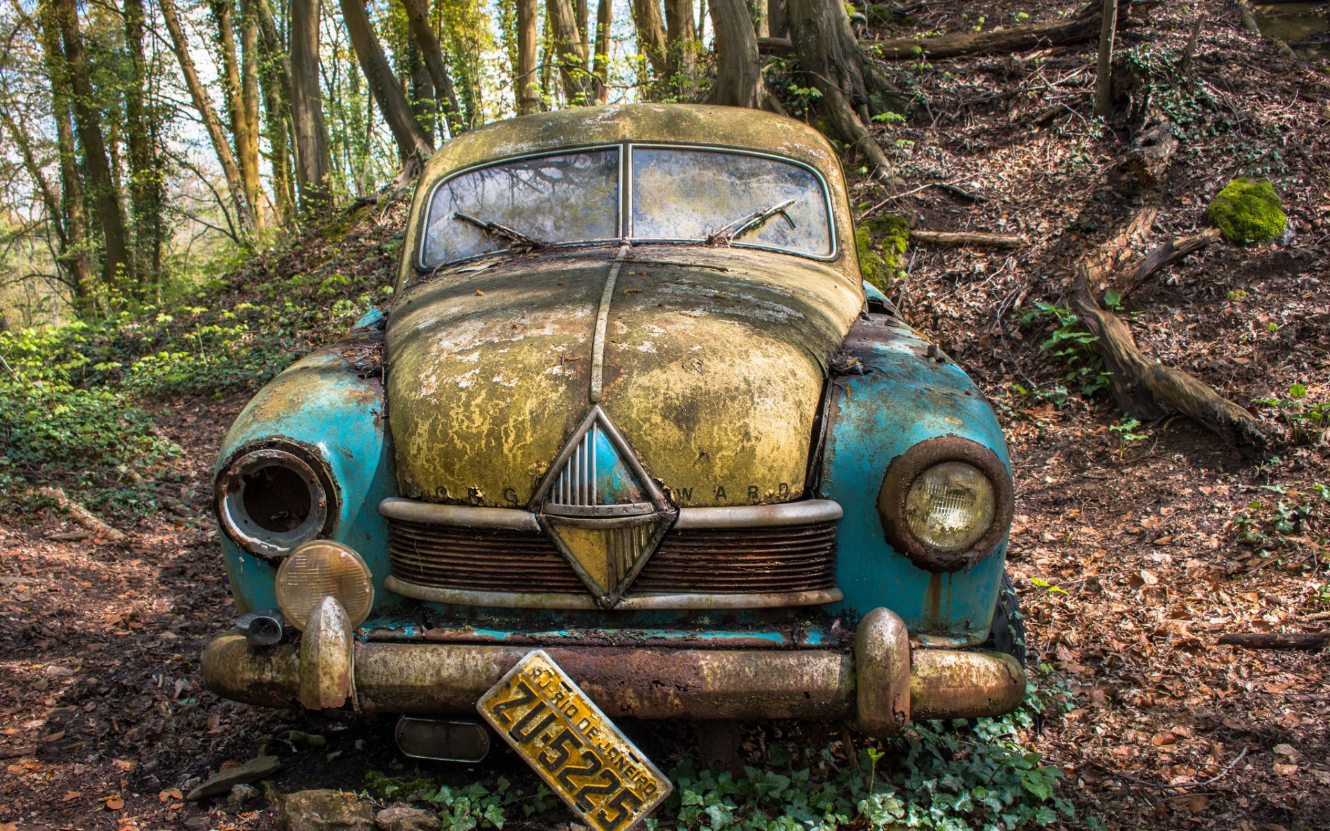 Download wallpaper rusty car, dump, abandoned car, Brazil, forest, retro cars for desktop with resolution 1920x1200. High Quality HD picture wallpaper