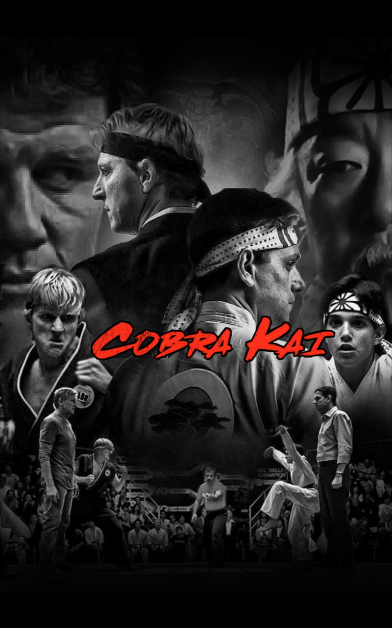 Cobra Kai iPhone 11 HD Wallpapers Wallpaper Cave