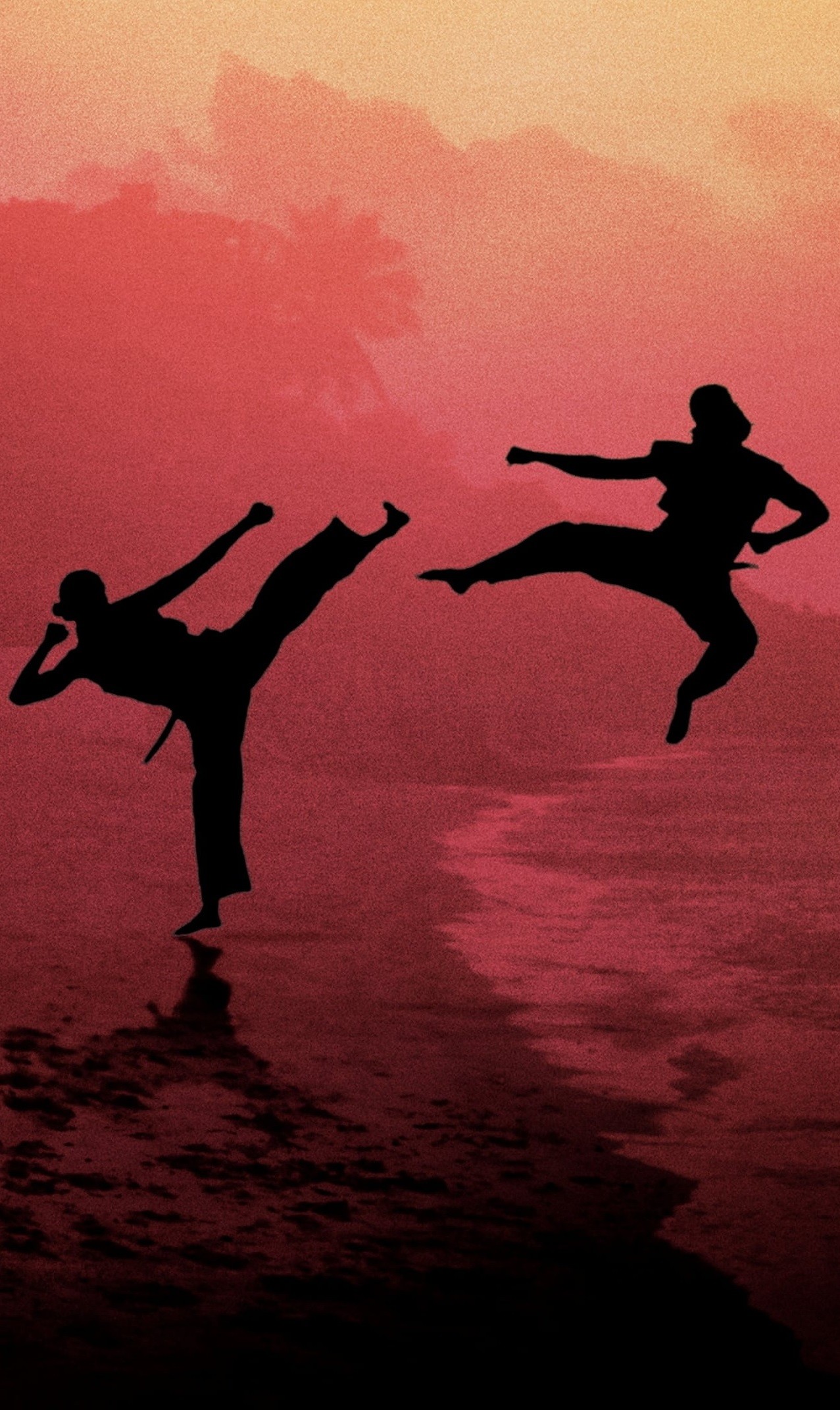 Cobra Kai iPhone 11 HD Wallpapers Wallpaper Cave