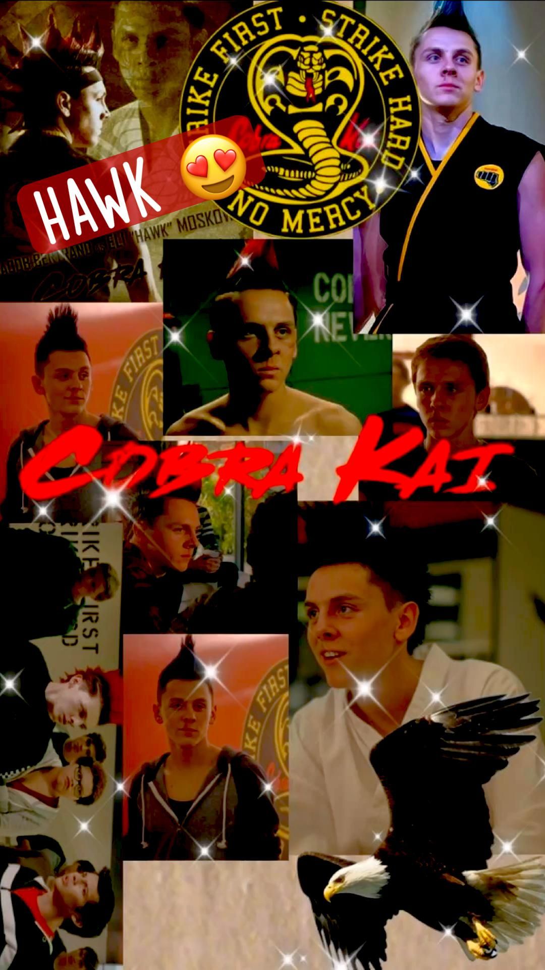 Cobra Kai iPhone 11 HD Wallpapers Wallpaper Cave