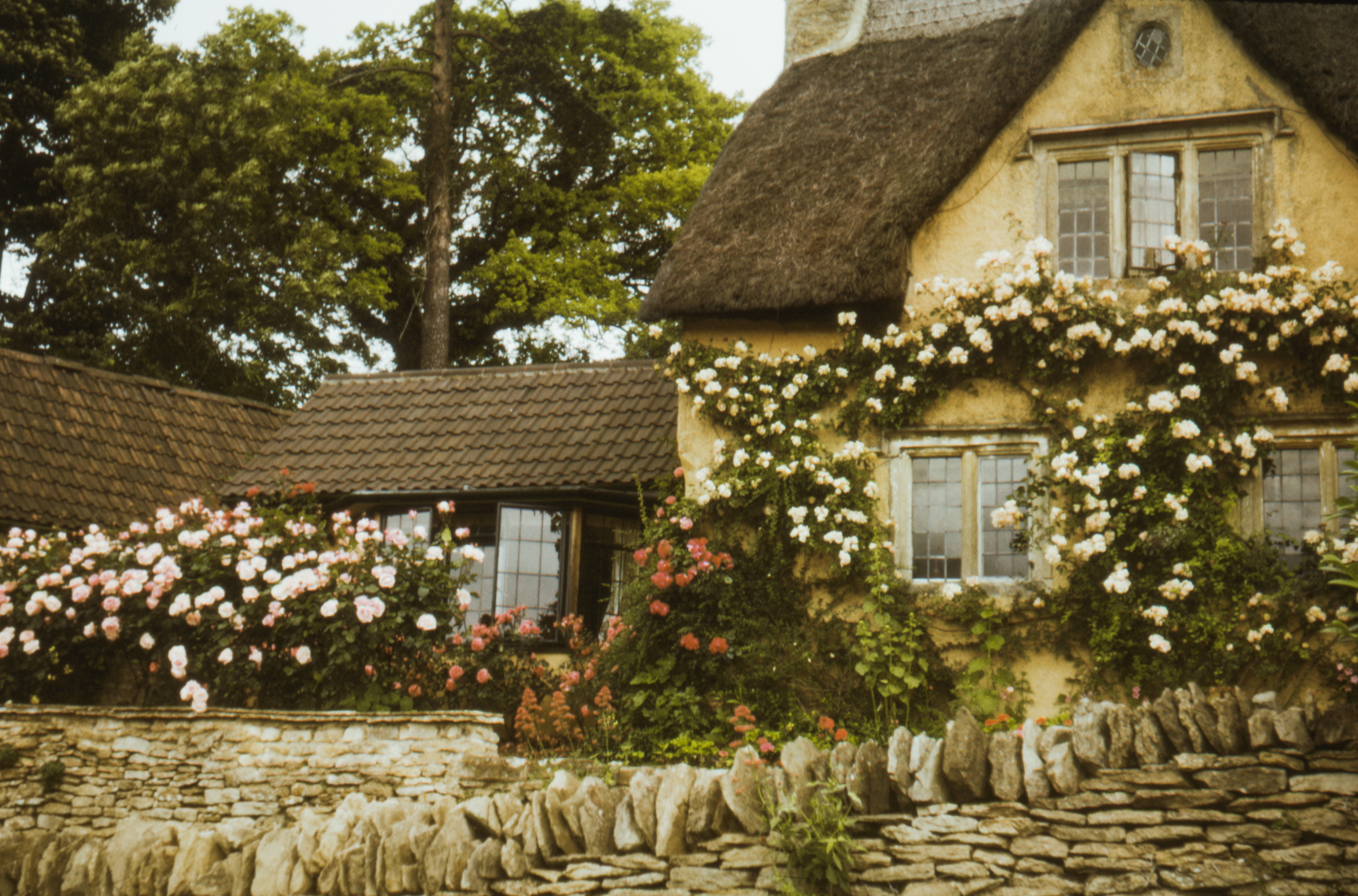 cottage wallpaper, house, home, cottage, property, building, thatching, tree, plant, roof, farmhouse
