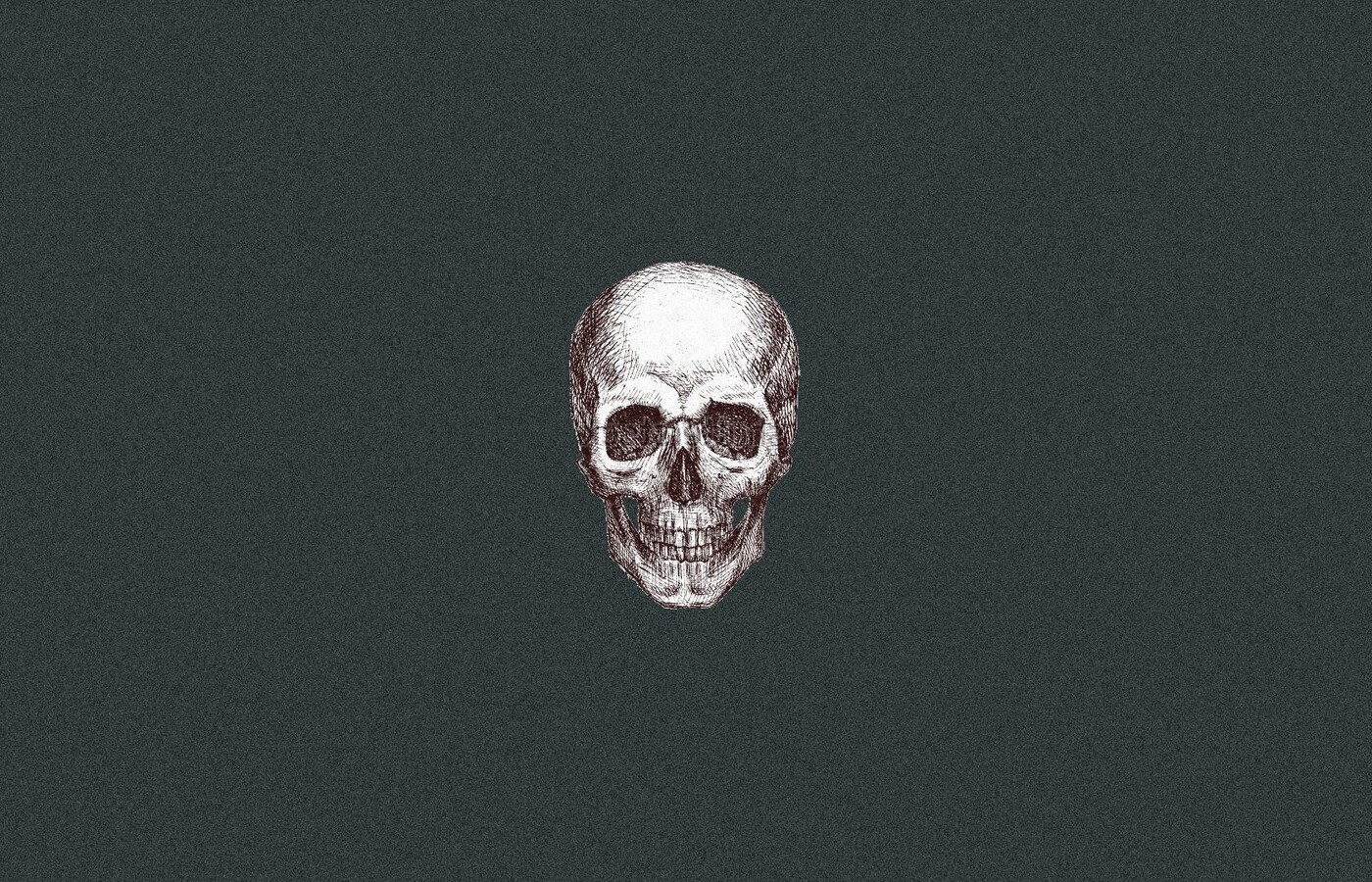 Skull Art 3 1400x900 Resolution HD 4k Wallpaper, Image, Background, Photo and Picture