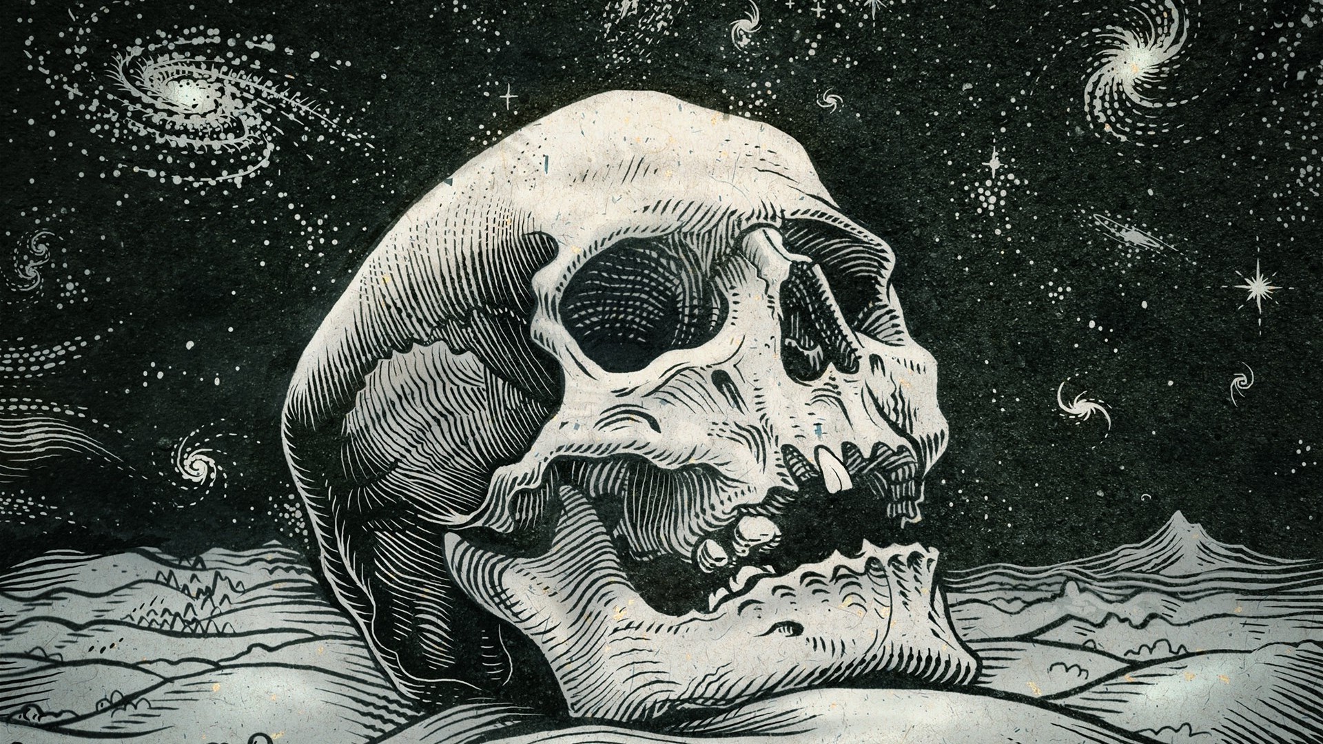 skull art wallpaper, illustration, skull, art, bone, human