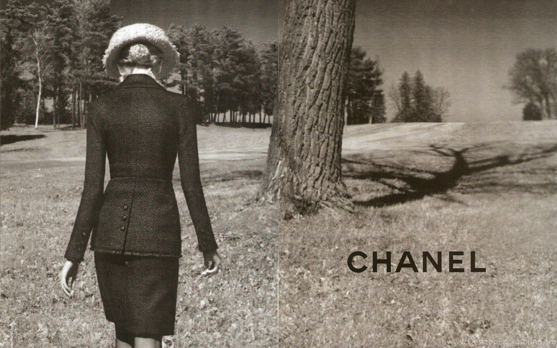Chanel Desktop Wallpaper Desktop Background