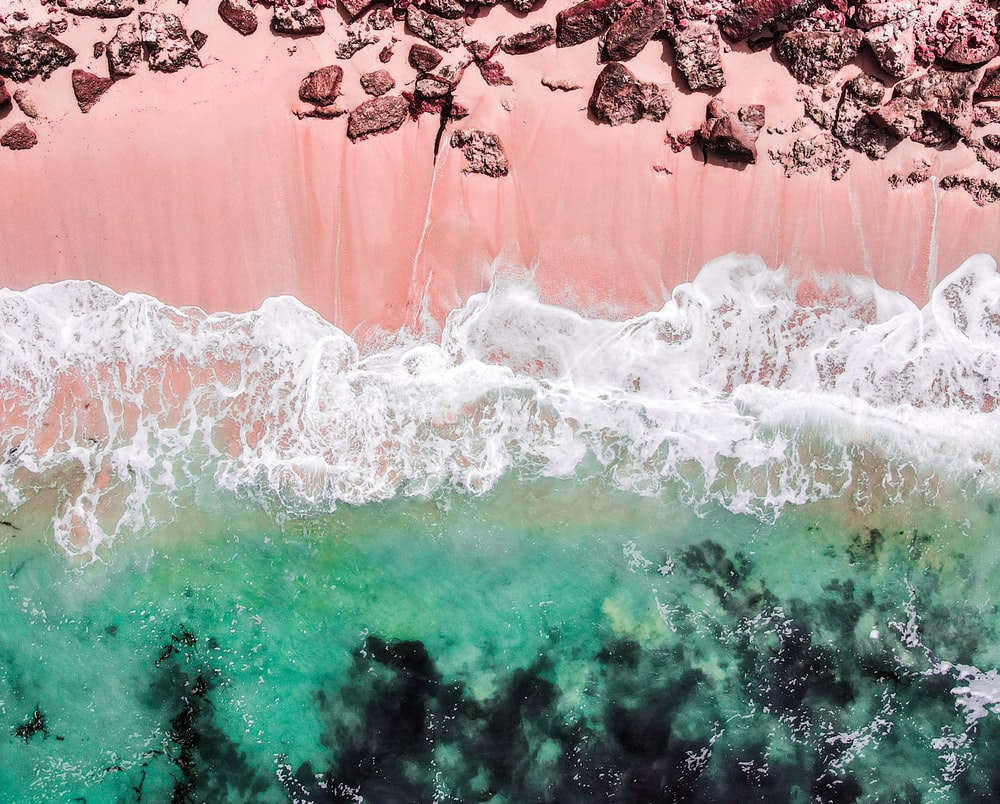 1K+ Pink Beach Picture. Download Free Image