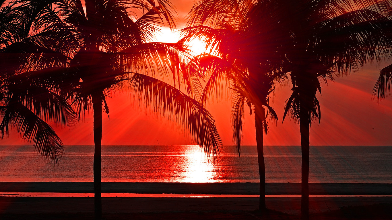 wallpaper for desktop, laptop. beach vacation summer night sunset red palm tree dark
