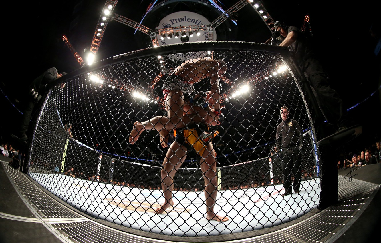 Wallpaper MMA, UFC, Cage image for desktop, section спорт