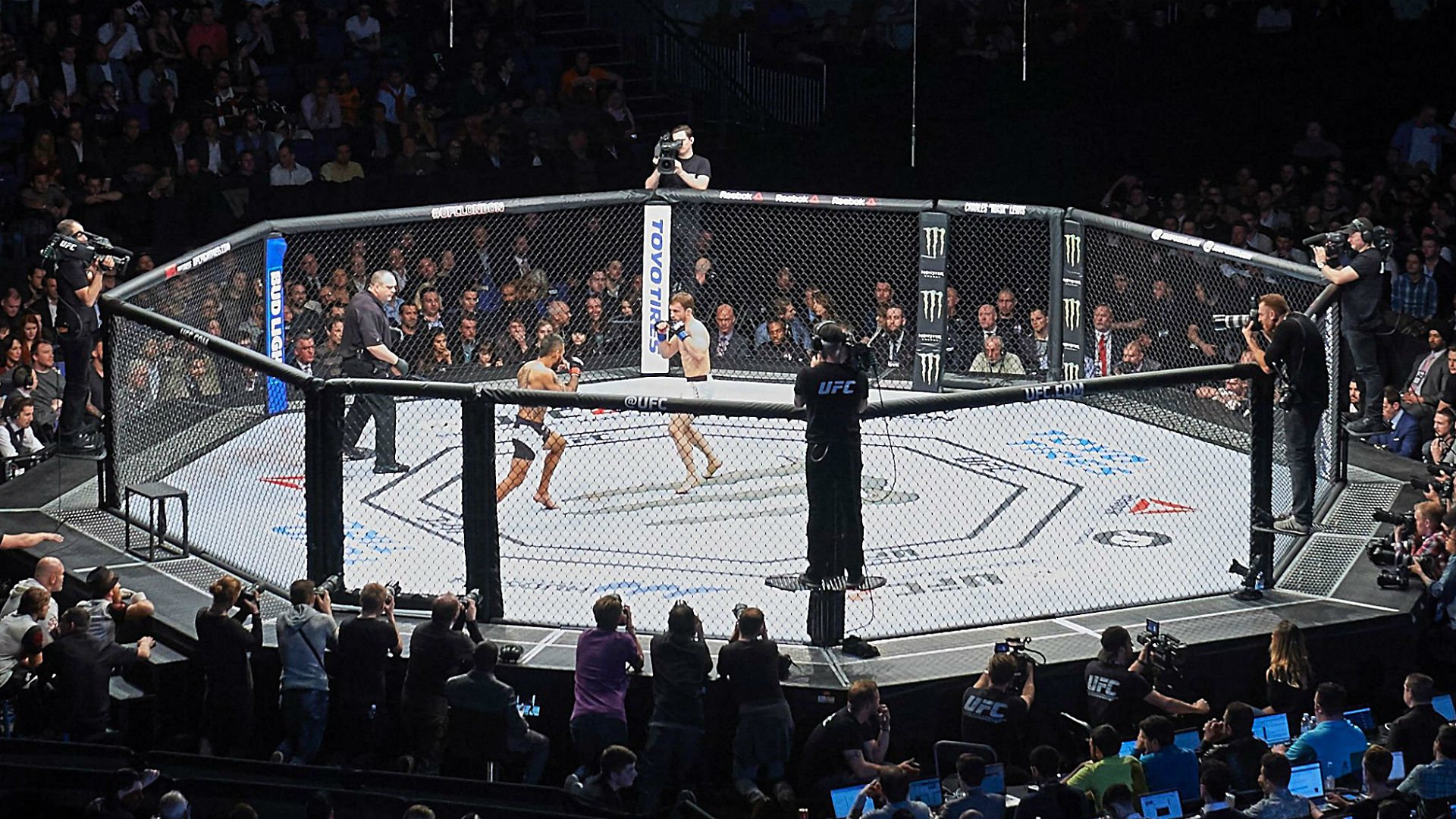 UFC Cage Wallpapers Wallpaper Cave
