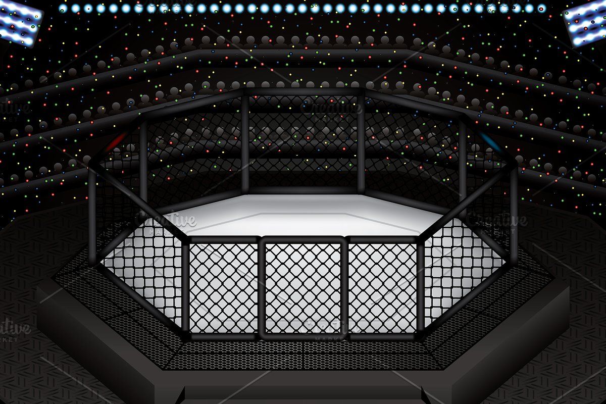 MMA octagon cage. Mma, Octagon, Cage