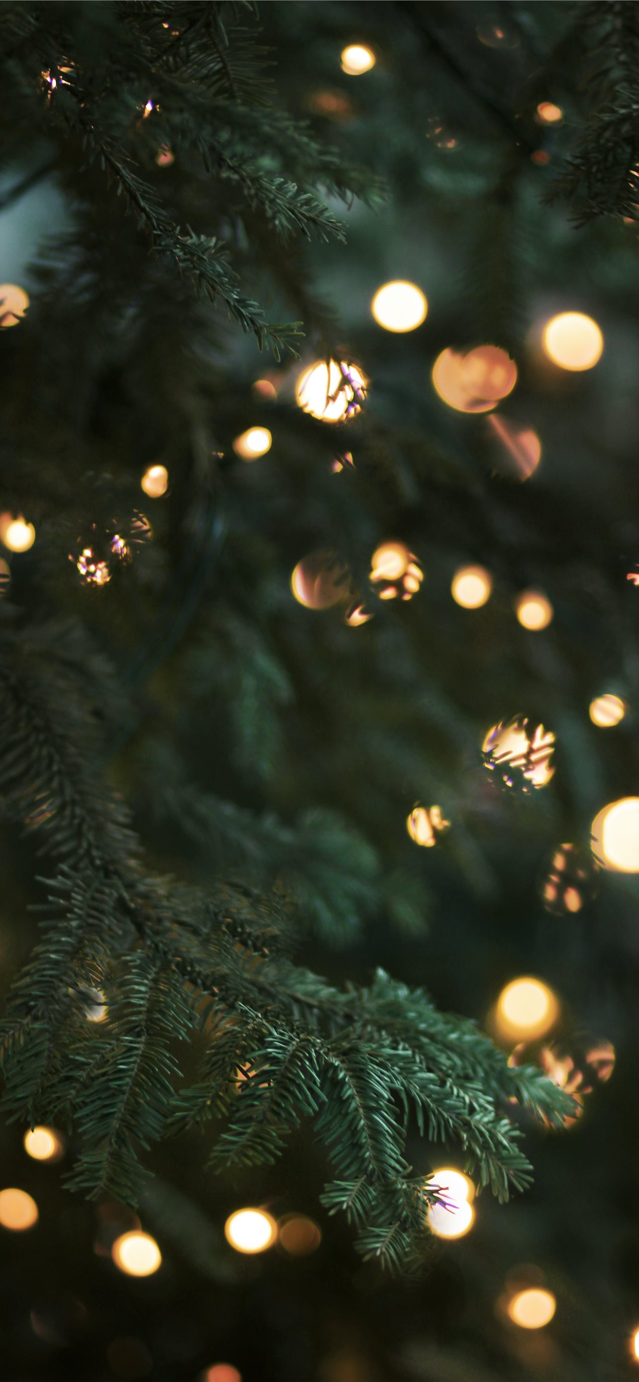 green christmas tree with string lights iPhone Wallpaper Free Download