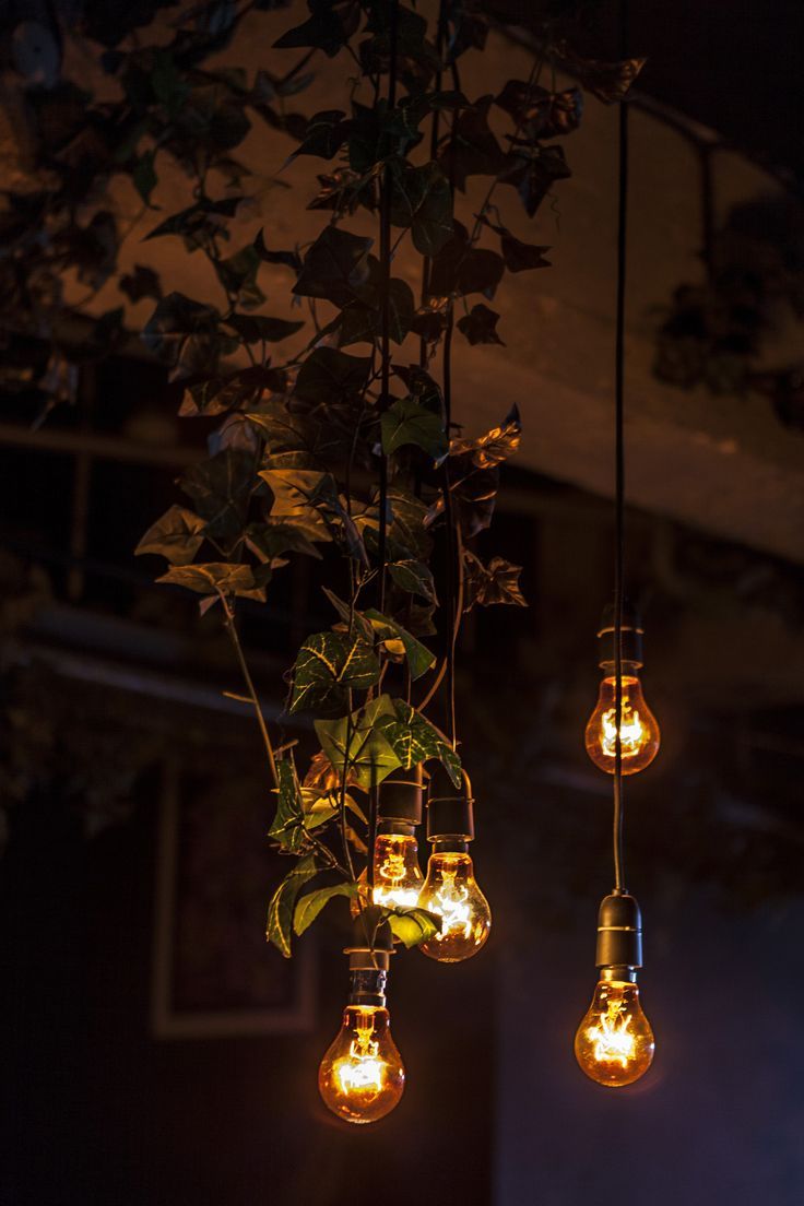 Hanging lightbulbs - Moonlight photography, Lit wallpaper, Beautiful wallpaper