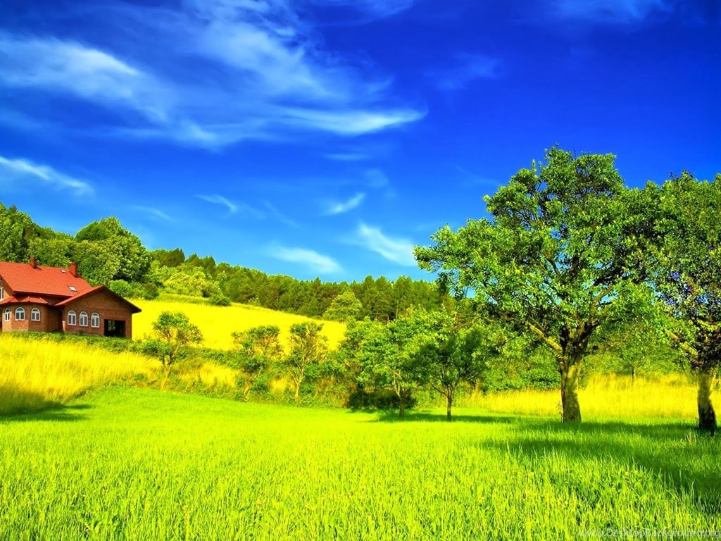 Most Beautiful Green Nature Wallpaper In The World Desktop Background