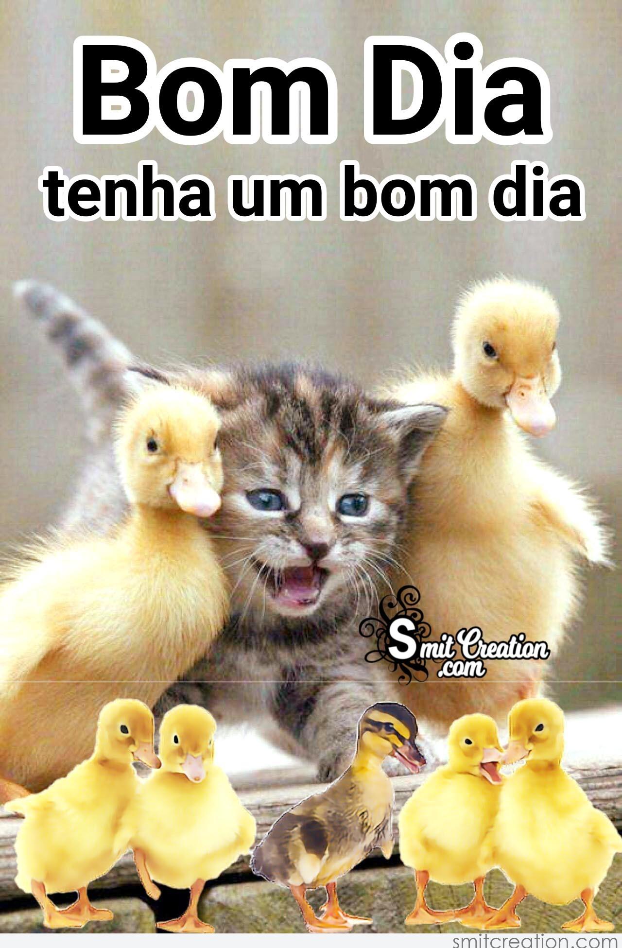 Bom Dia Tenha Um Bom Dia imagem