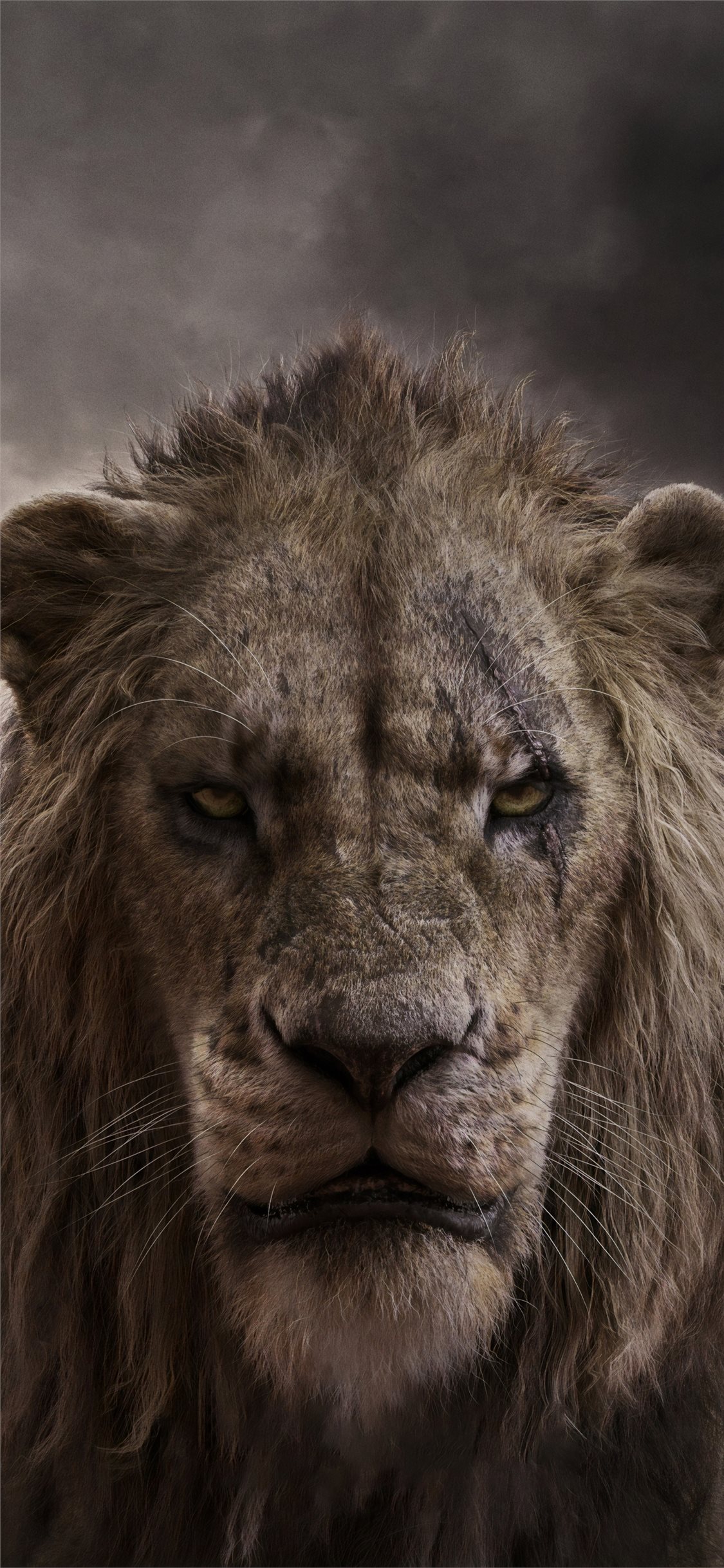 chiwetel ejiofor as scar in the lion king 2019 4k iPhone X Wallpaper Free Download