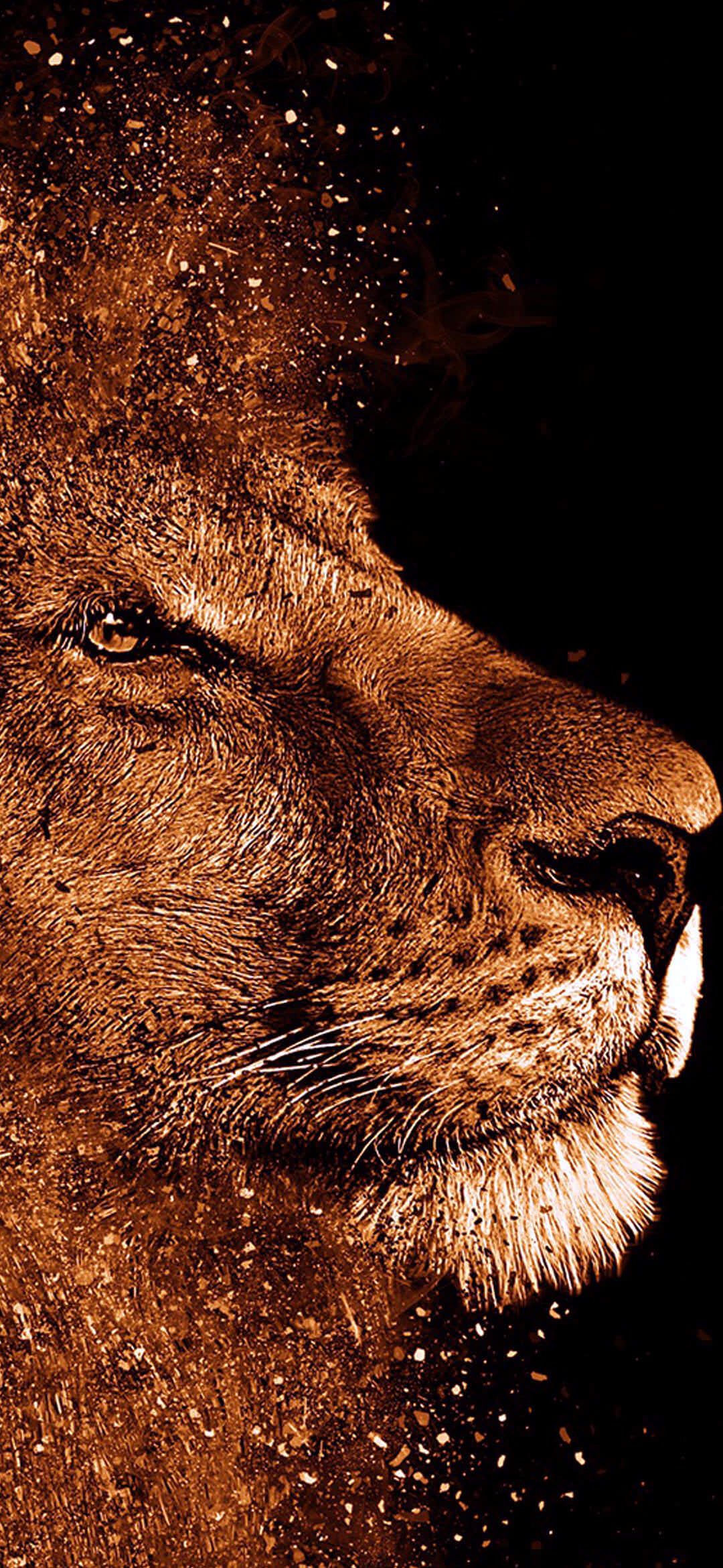 iPhone Lion 4k Wallpapers - Wallpaper Cave