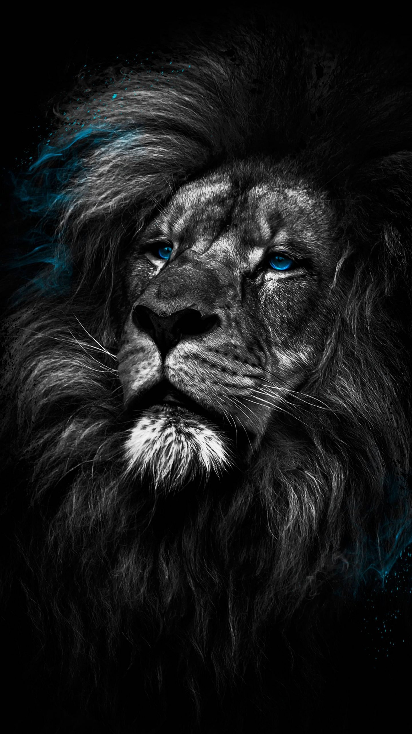 Lion Dark 4K Amoled Android Black Wallpaper