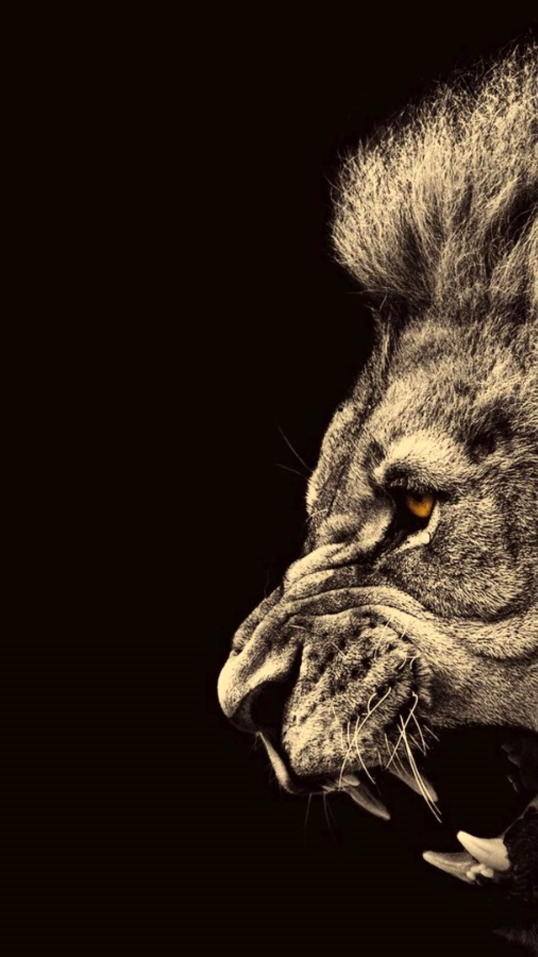 Wallpaper 4K iPhone Lion Ideas. Lion wallpaper iphone, Lion wallpaper, Lion artwork
