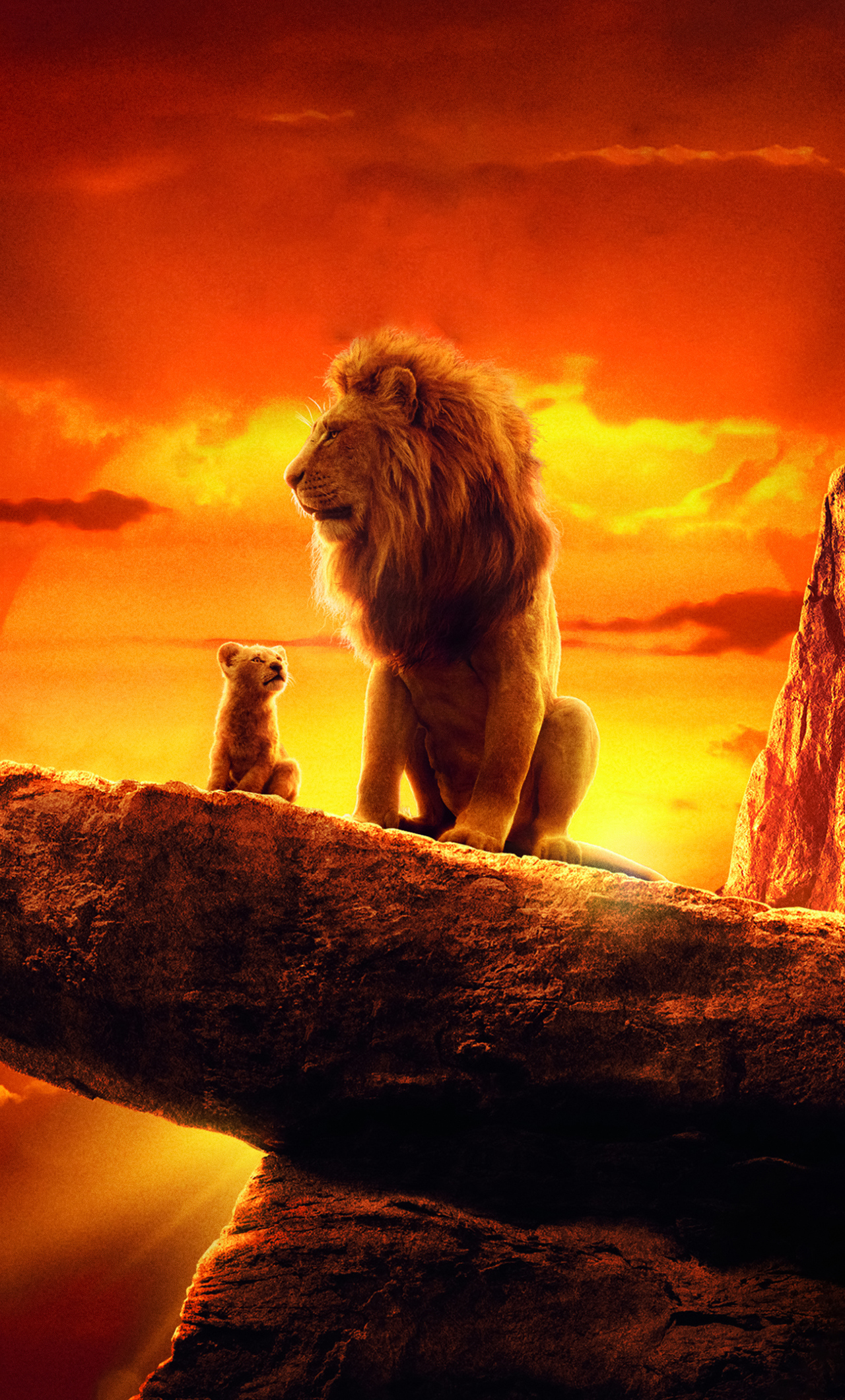 The Lion King 2019 4k Movie iPhone HD 4k Wallpaper, Image, Background, Photo and Picture