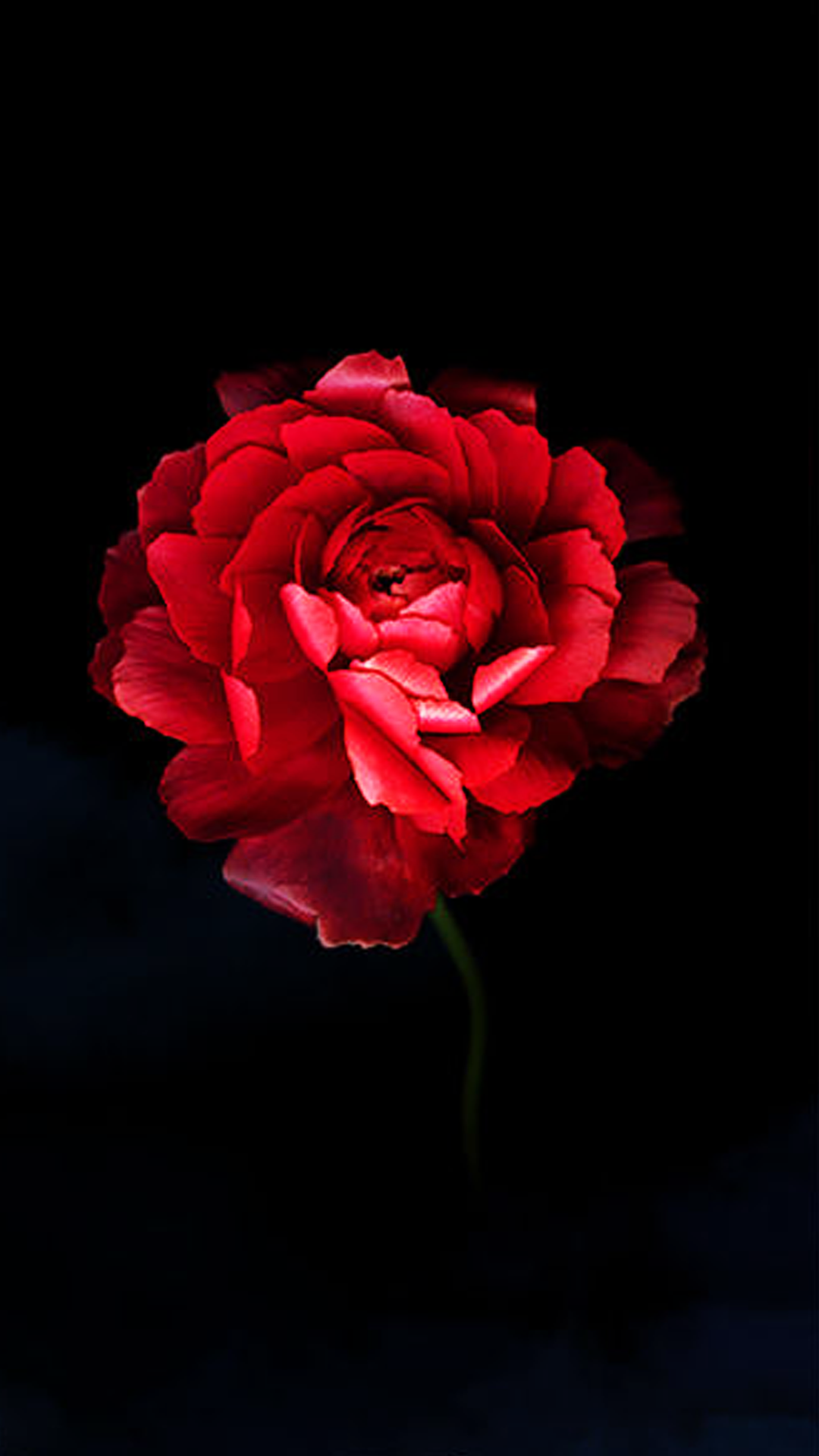 Download UMi Plus E Stock Wallpaper