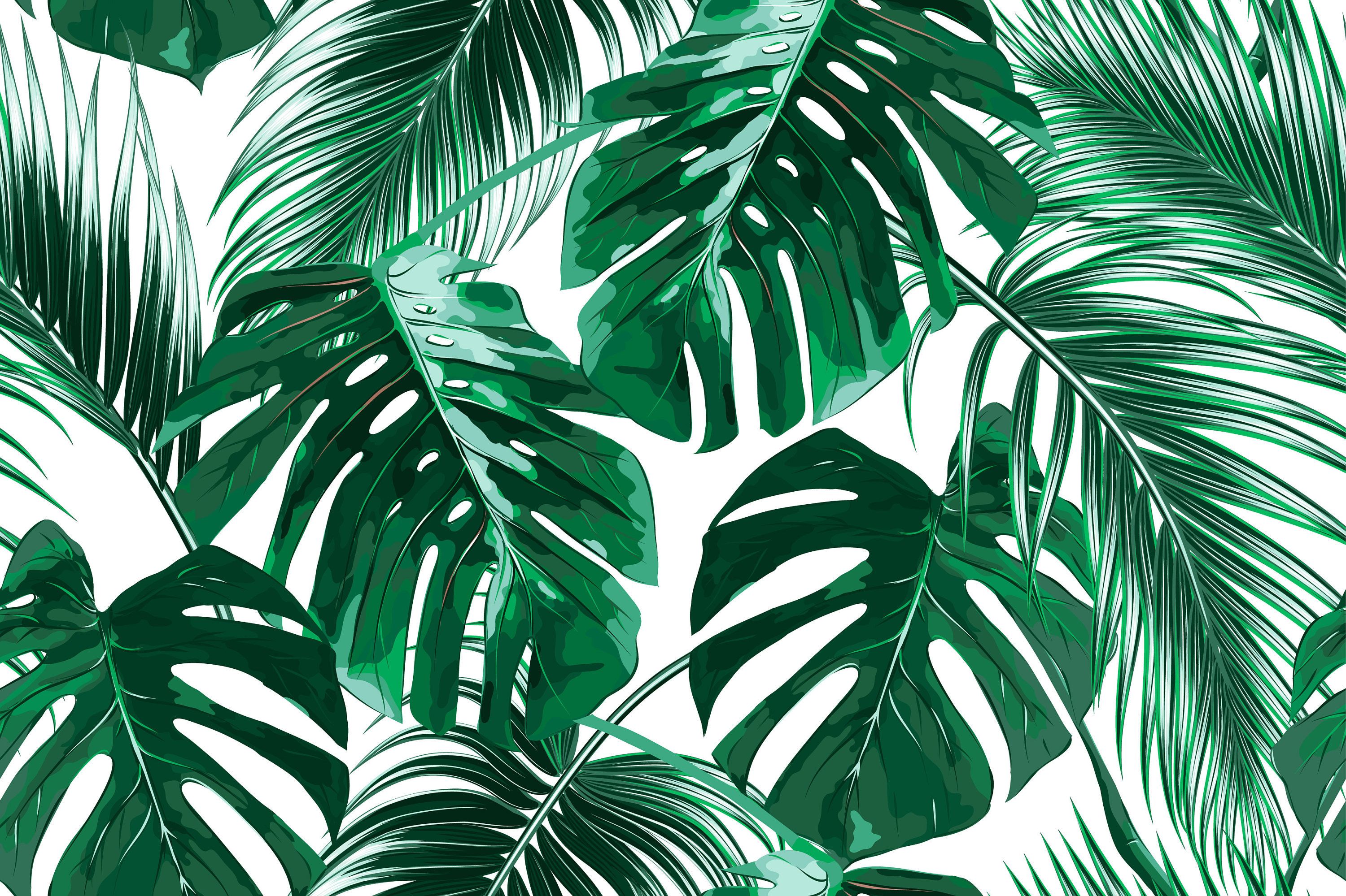 Palm Tree Leaves Wallpaper Free Palm Tree Leaves Background