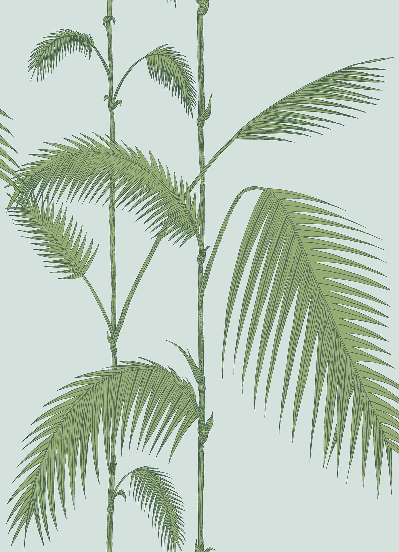Palm Leaves Wallpaper & Son