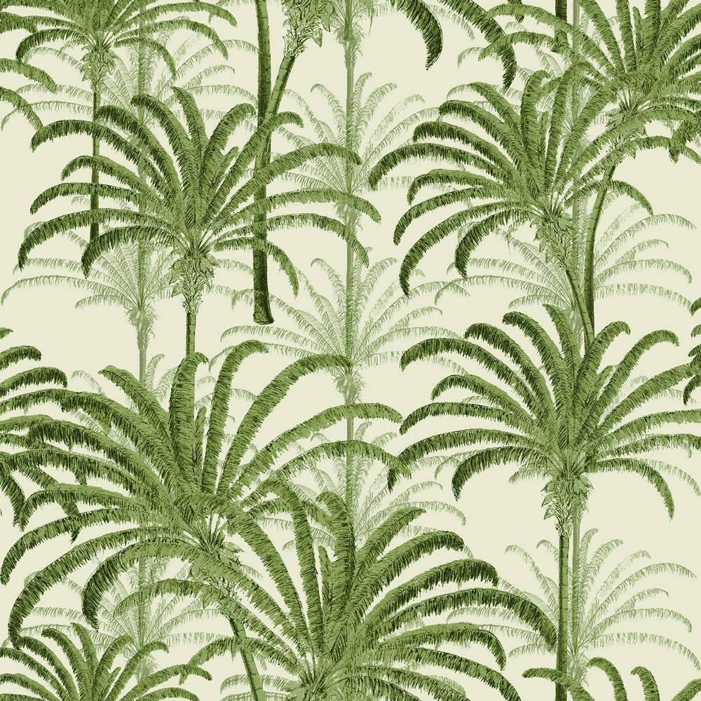 ARTISTICK Green Palm Tree Tropics Peel And Stick Non Woven Wallpaper 300231 Home Depot