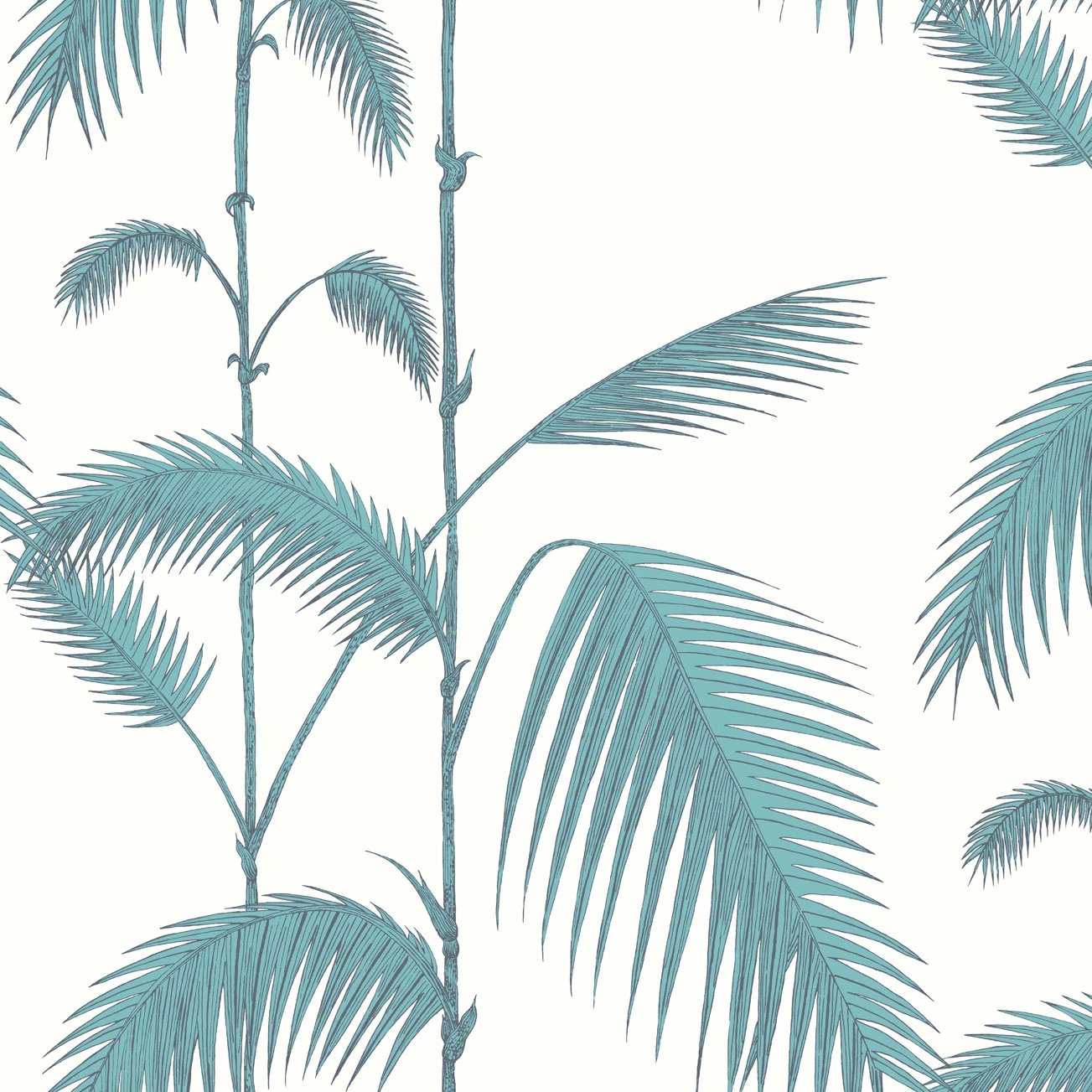 Palm Vine Wallpaper