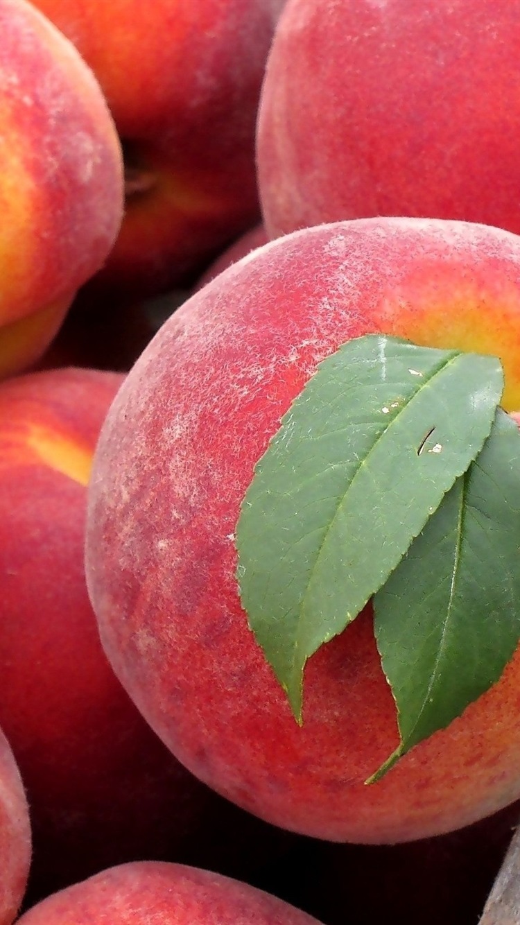 IPhone Wallpaper Peach Fruit Close Up