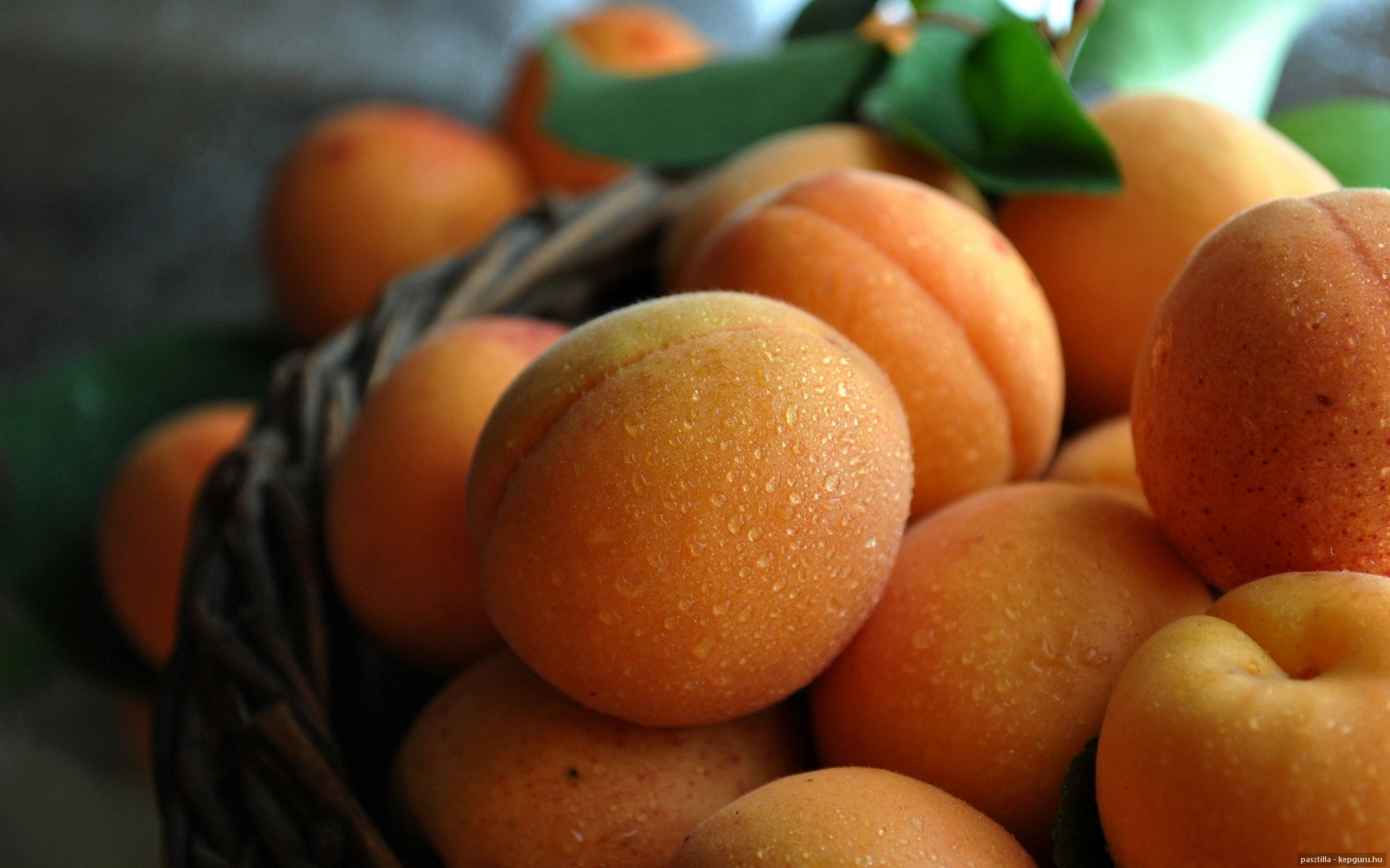 peach, Fruit, Summer, Water, Drops Wallpaper HD / Desktop and Mobile Background