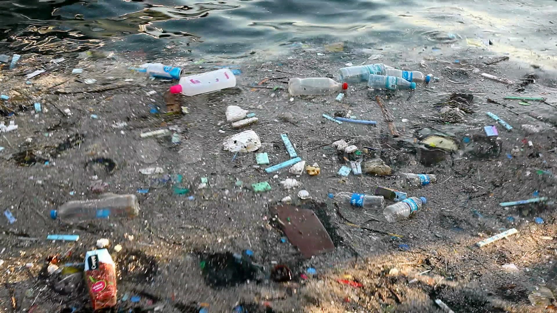 Water Pollution Wallpaper