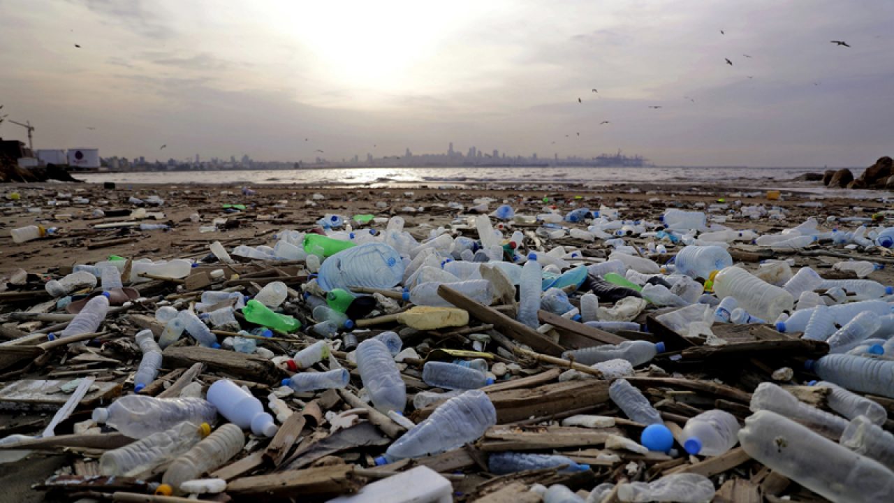 simple ways to reduce pollution