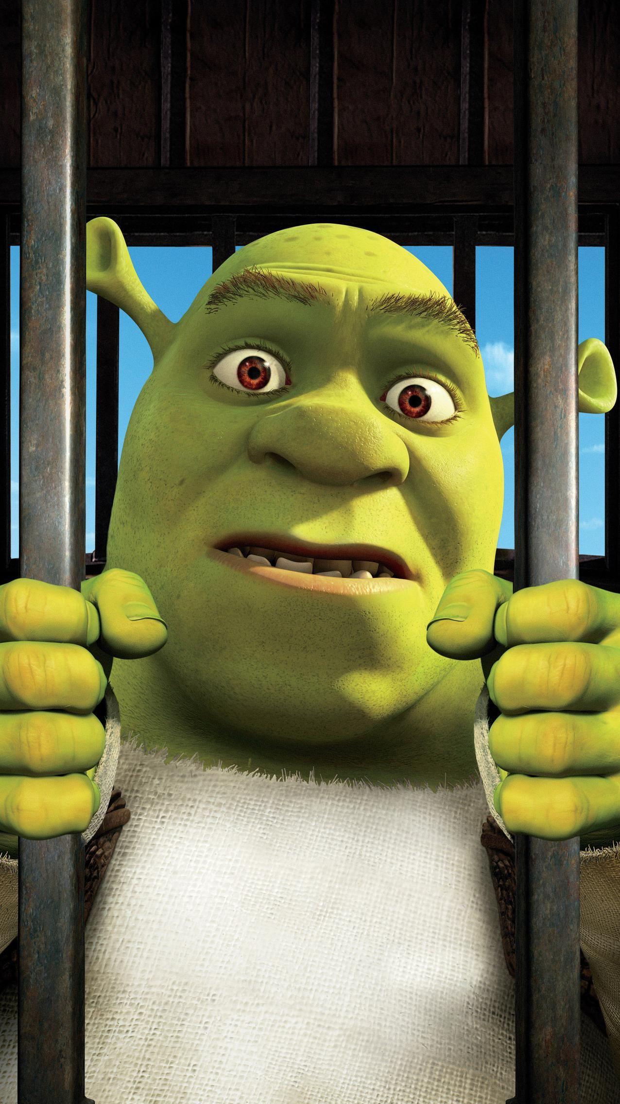 Background Shrek, Shrek Meme, HD phone wallpaper