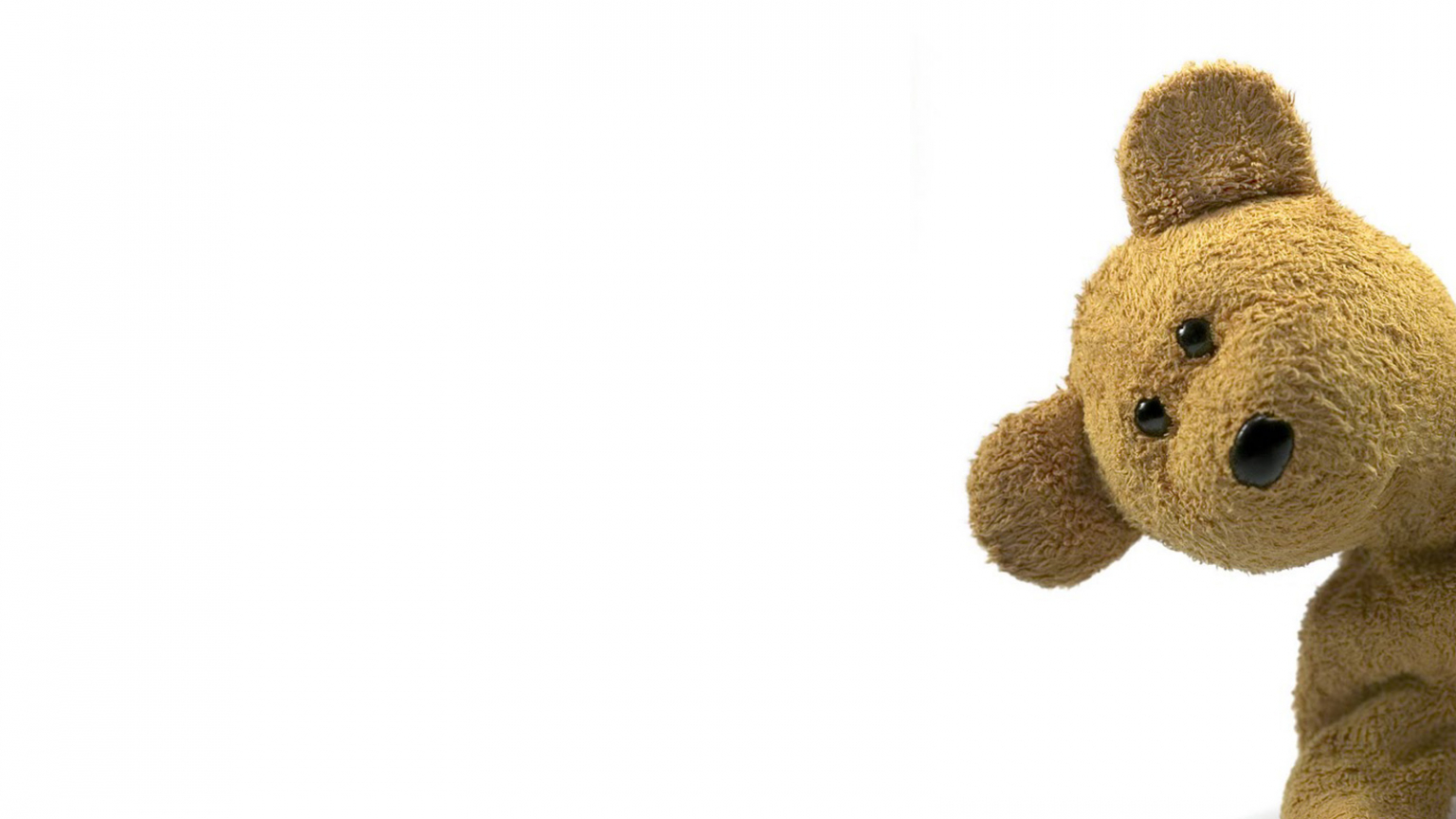 Free download Wallpaper Funny Teddy Bears Wallpaper for your Desktop Background [1600x1200] for your Desktop, Mobile & Tablet. Explore Bears Background Wallpaper. Bear Wallpaper, Bear Desktop Wallpaper, Care