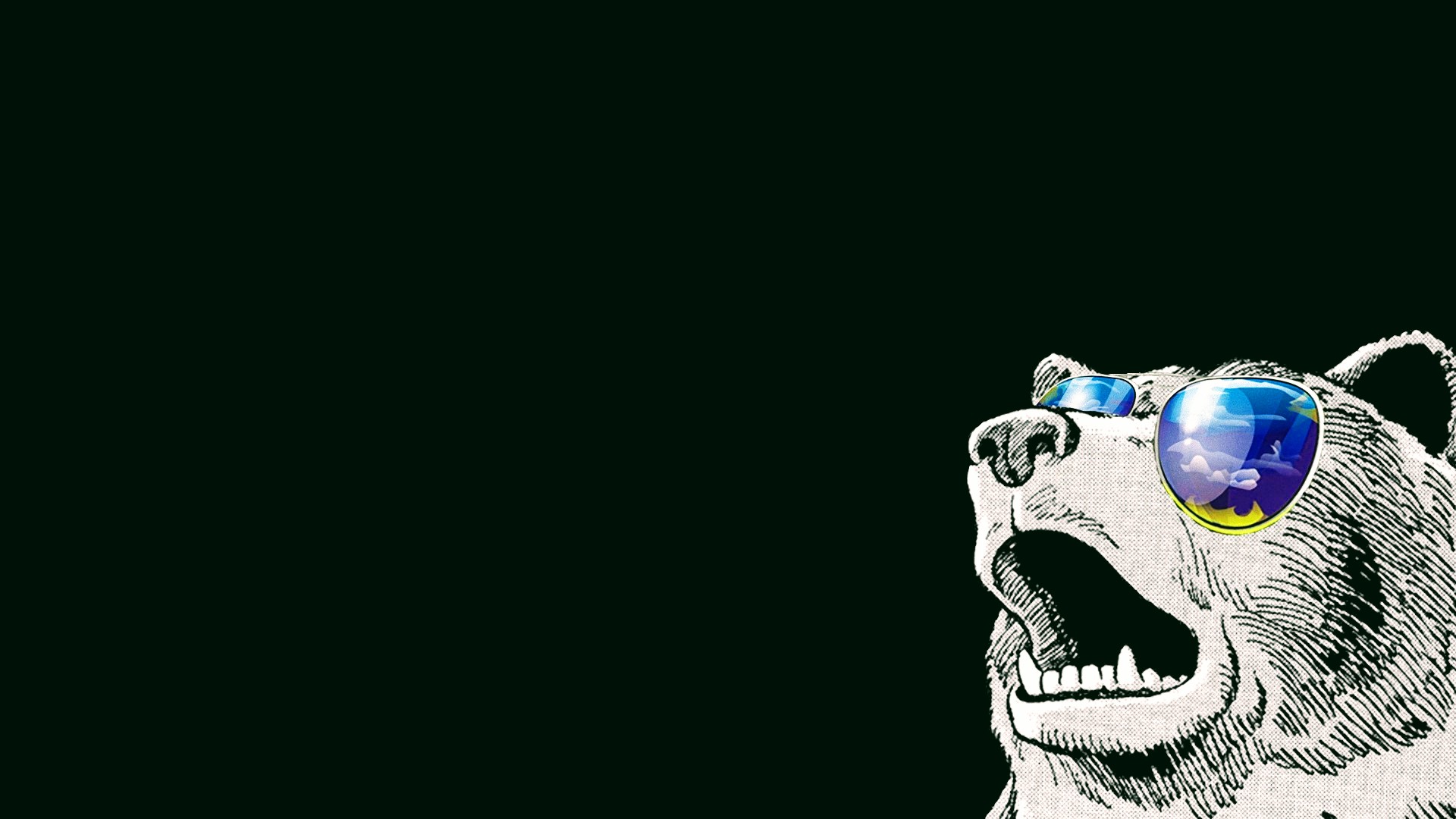 Bear With Sunglasses HD Wallpaperx1080