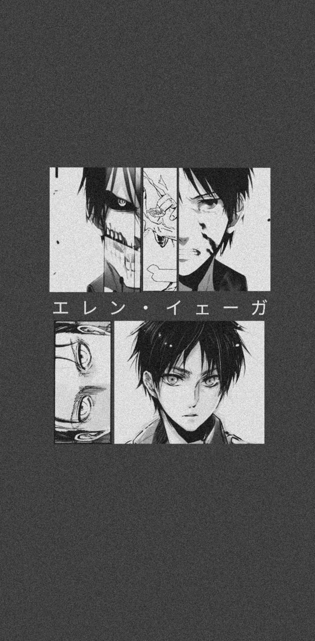 Eren Jaeger wallpaper