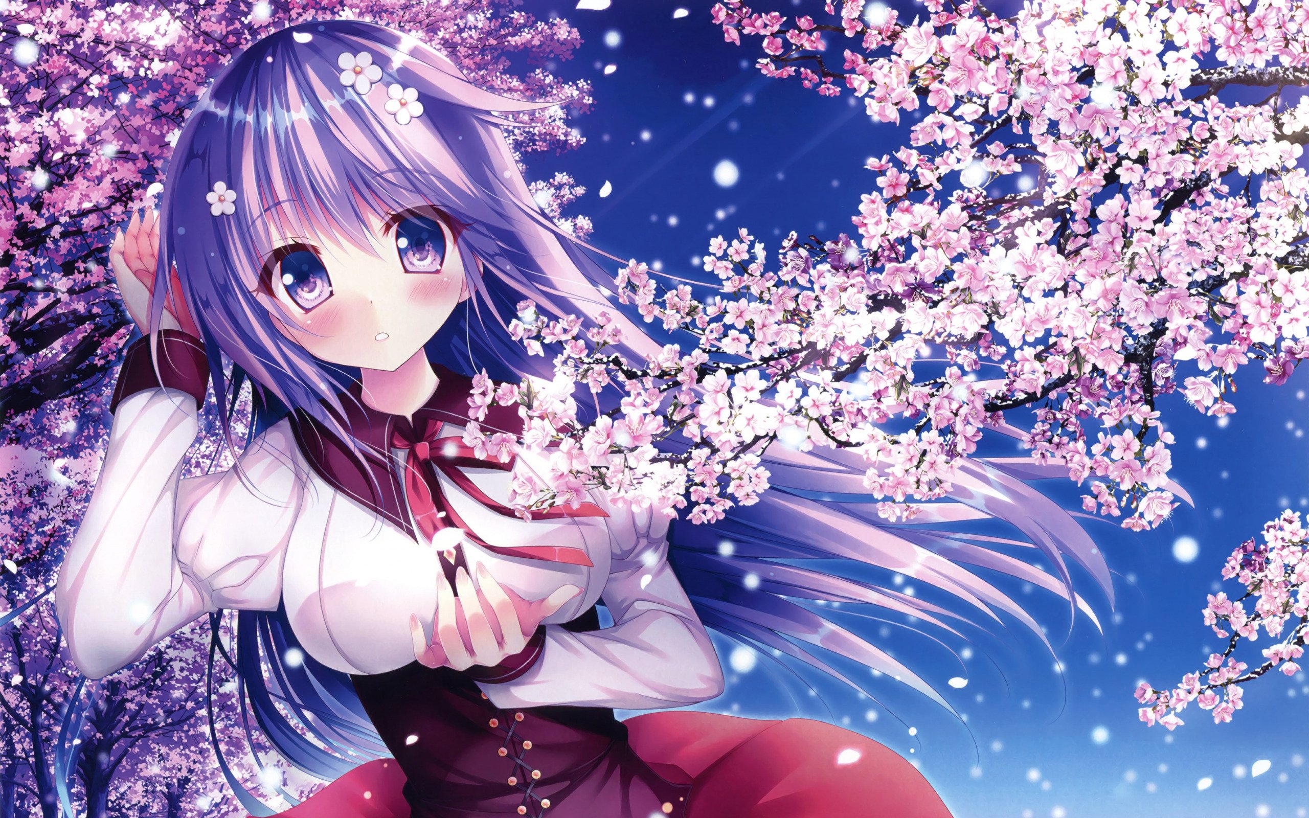 Anime Flower Spring Wallpapers Wallpaper Cave 